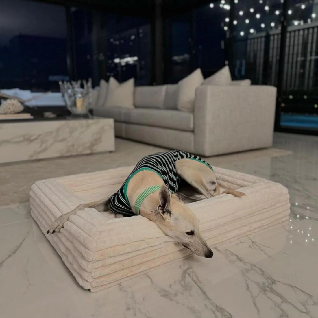 Dazy Dog Bed Cover Puffer Bone