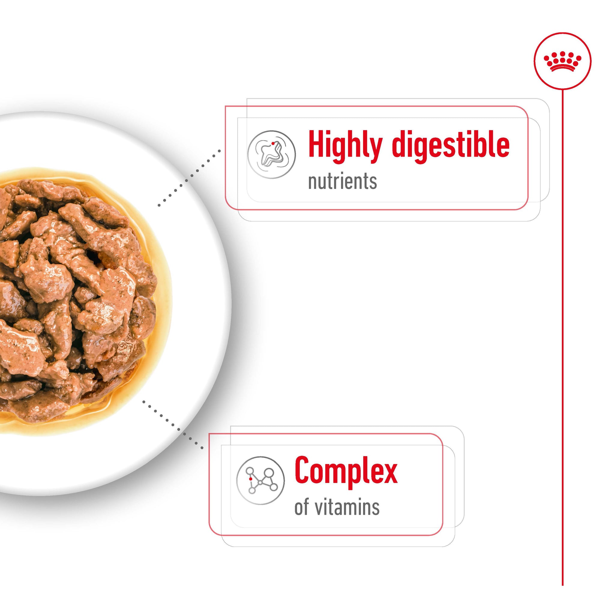Royal Canin Mini Adult Wet Dog Food Pouches 85g x 12