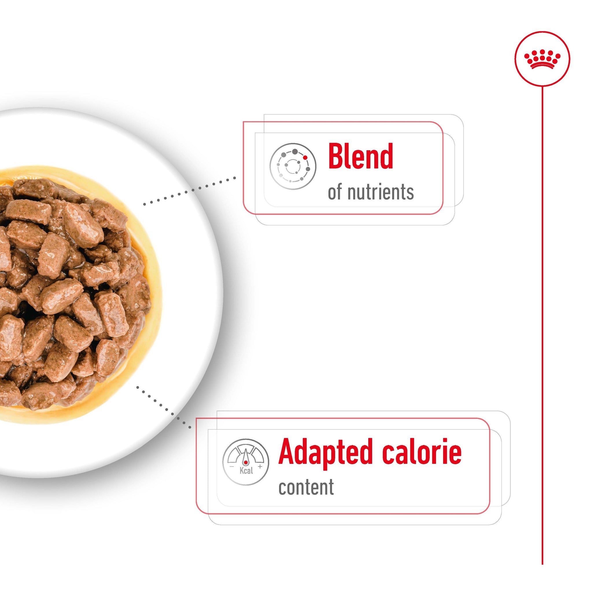 Royal Canin Mini Ageing 12+ Wet Dog Food Pouches 85g x 12