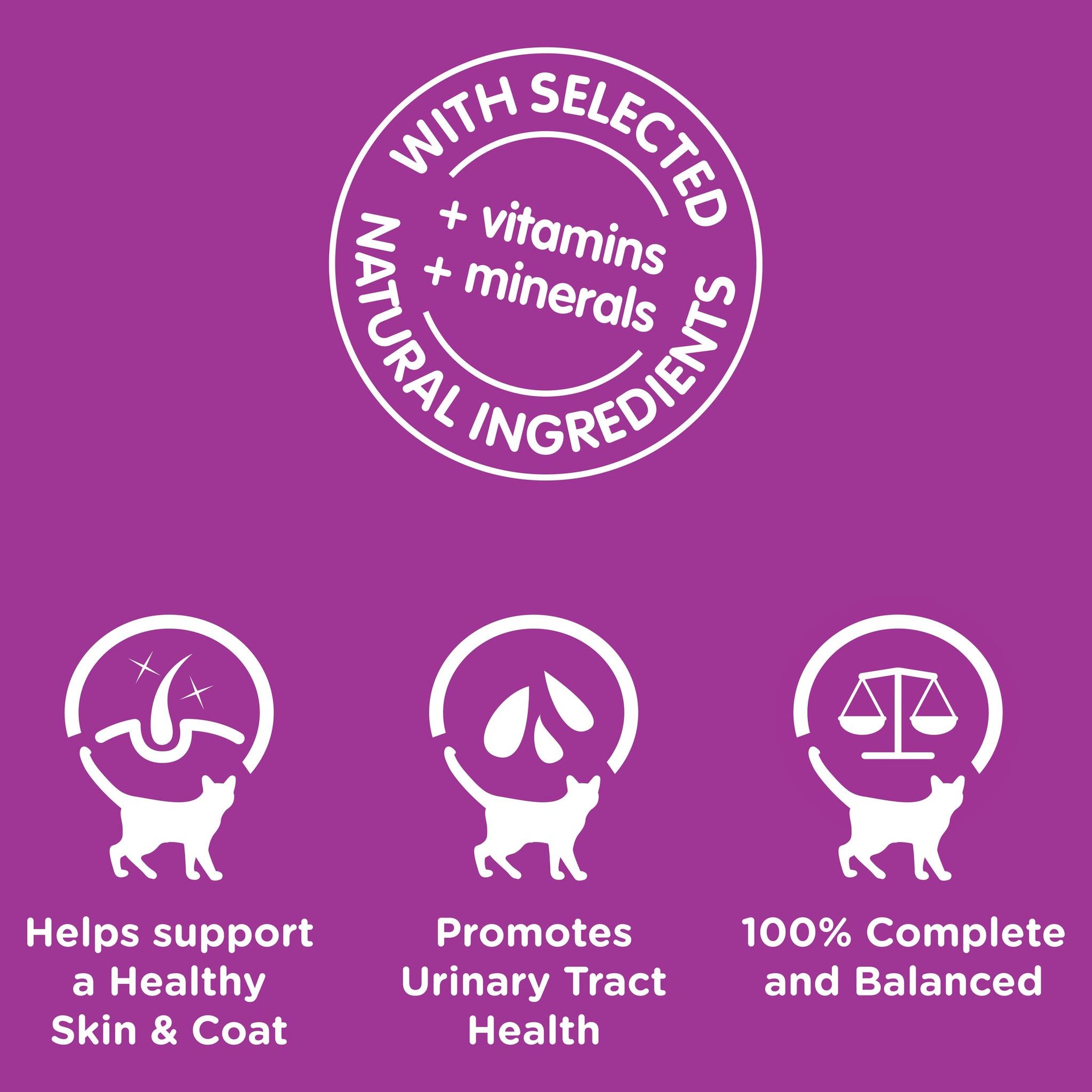 Whiskas Favourites Cat Adult 1+yrs Beef Chunks In Jelly 85g x 12