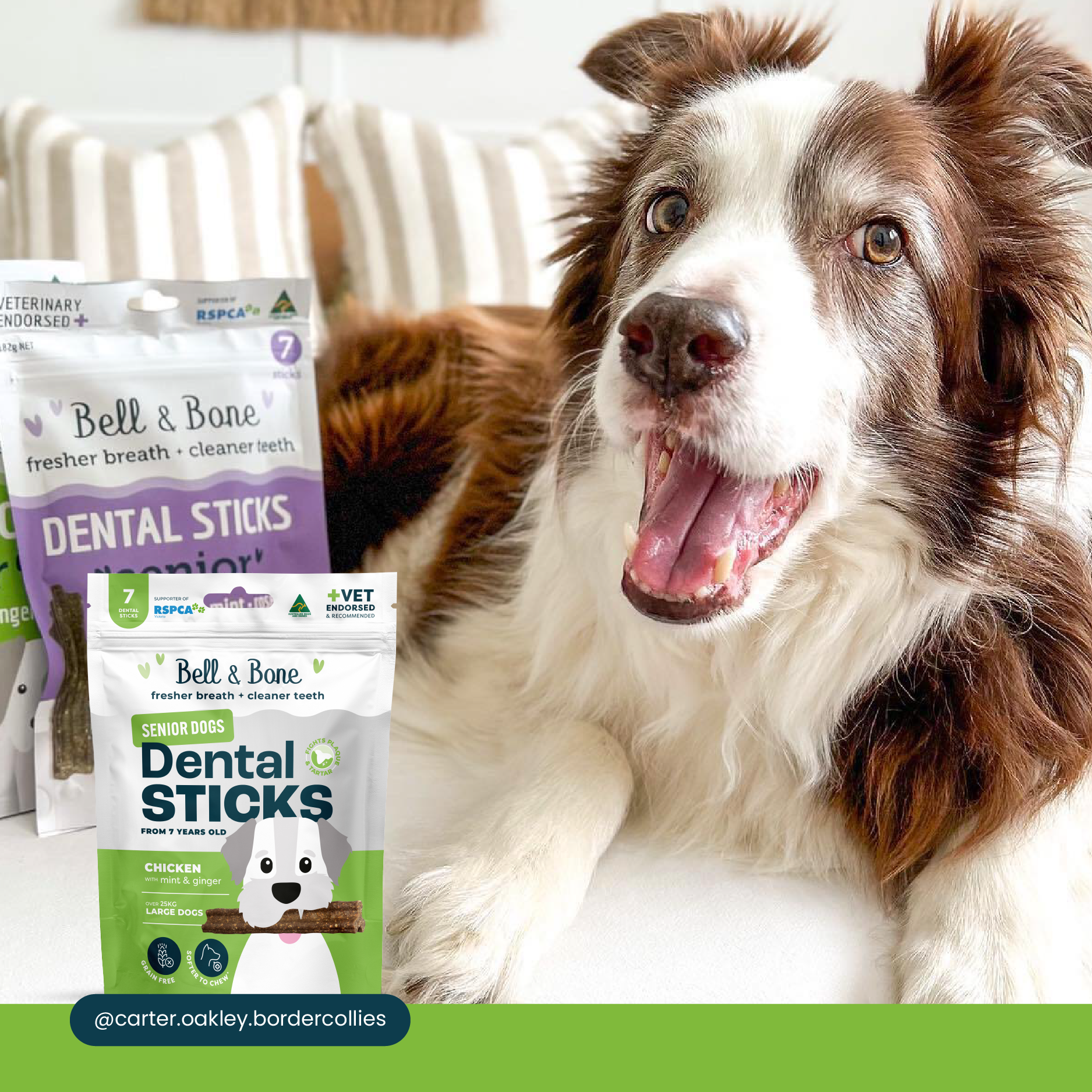 Bell & Bone Senior Dog Dental Sticks Chicken 7 Pack