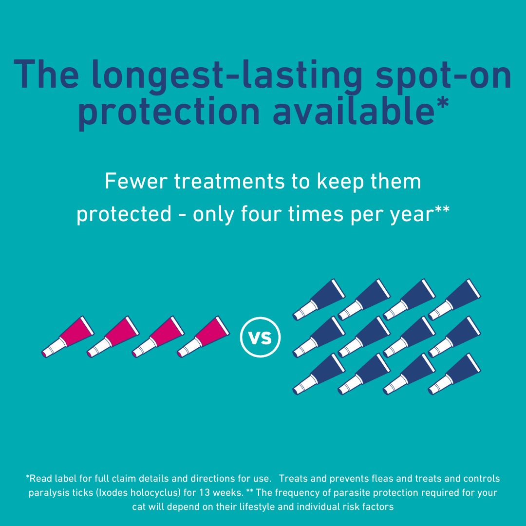 Felpreva Spot On Solution for Large Cats 5-8kg