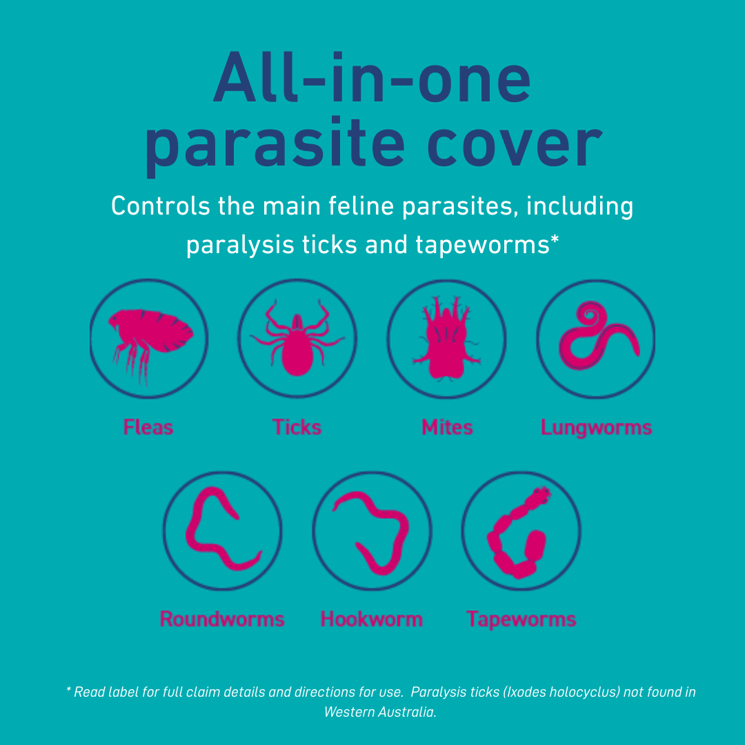 Felpreva Spot On Solution for Small Cats 1-2.5kg 1 Pack