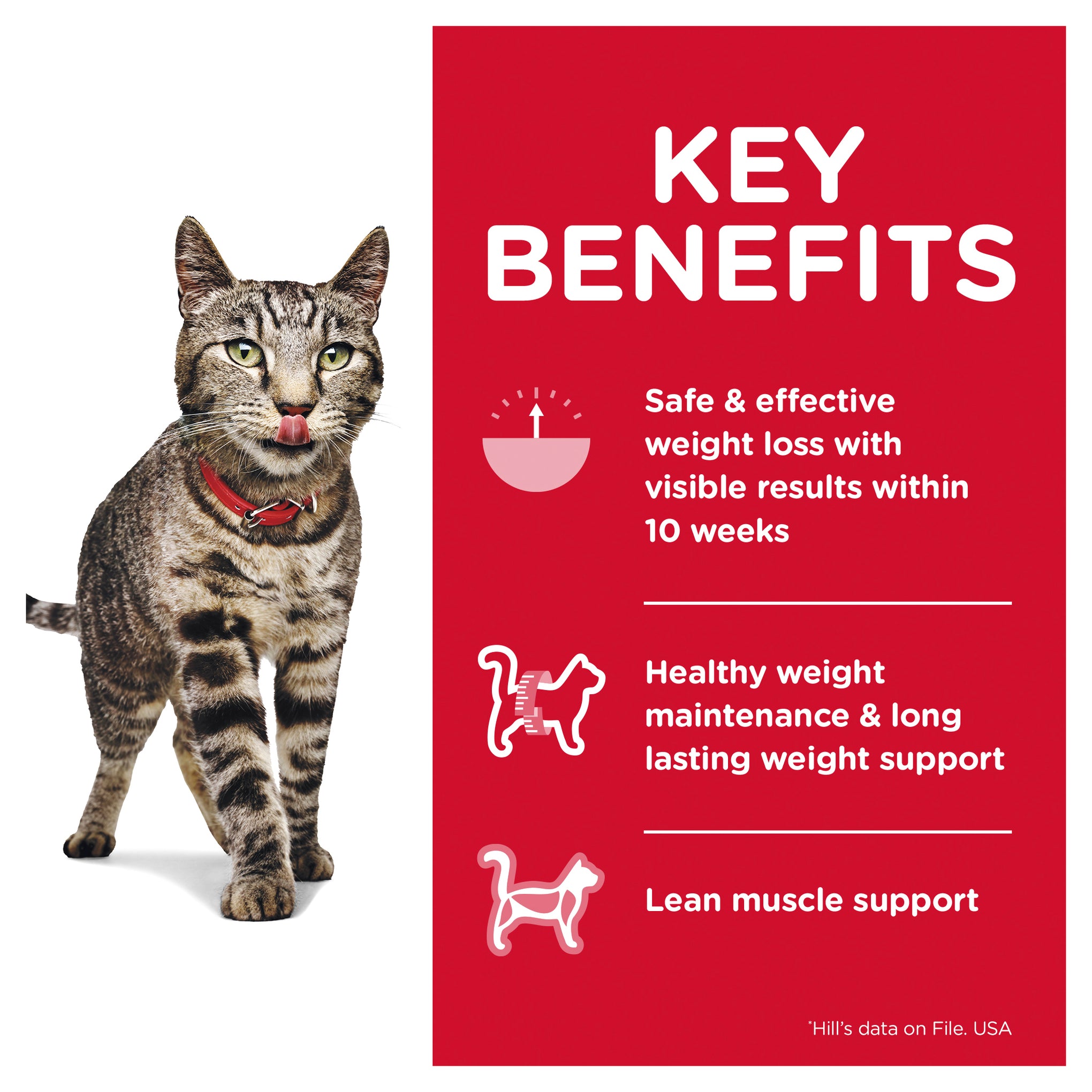 Hill's Science Diet Adult Perfect Weight Salmon Pouch Cat Food 85g x 12