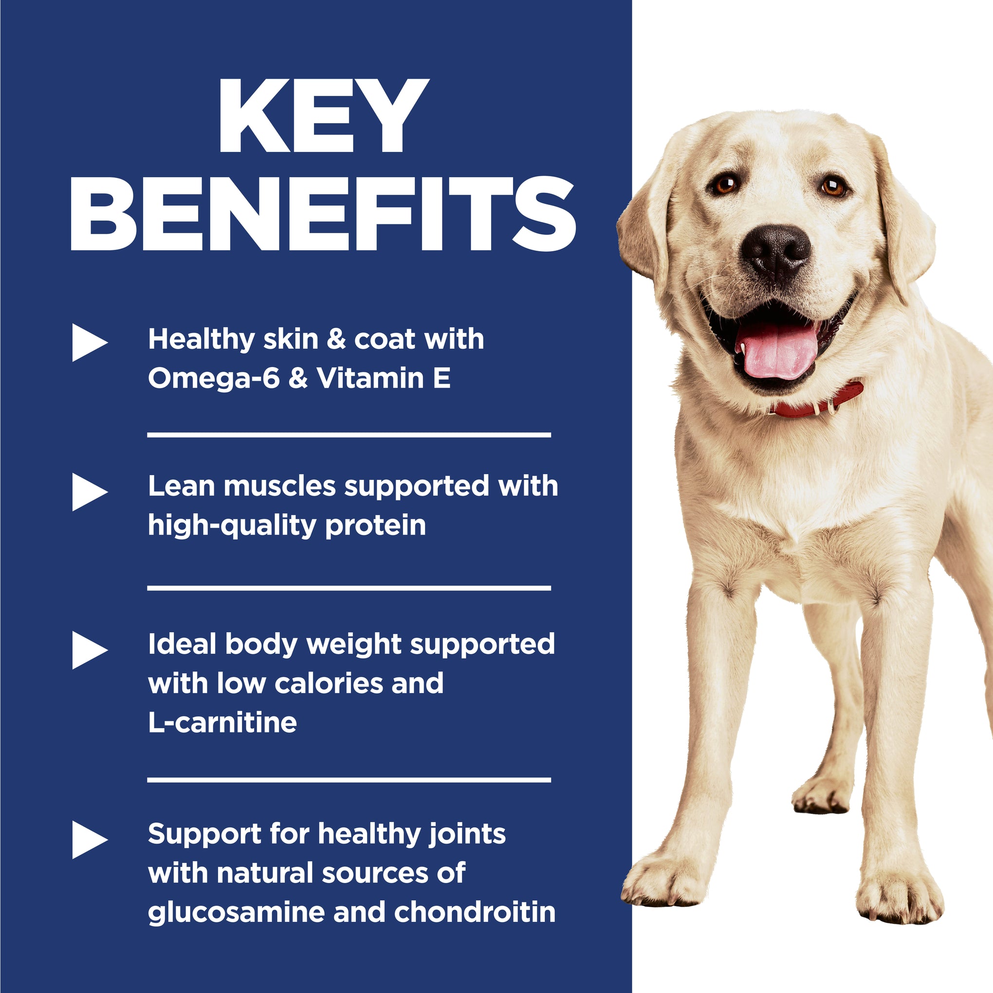 Hill's Science Diet Adult Light Large Breed Dry Dog Food 12kg