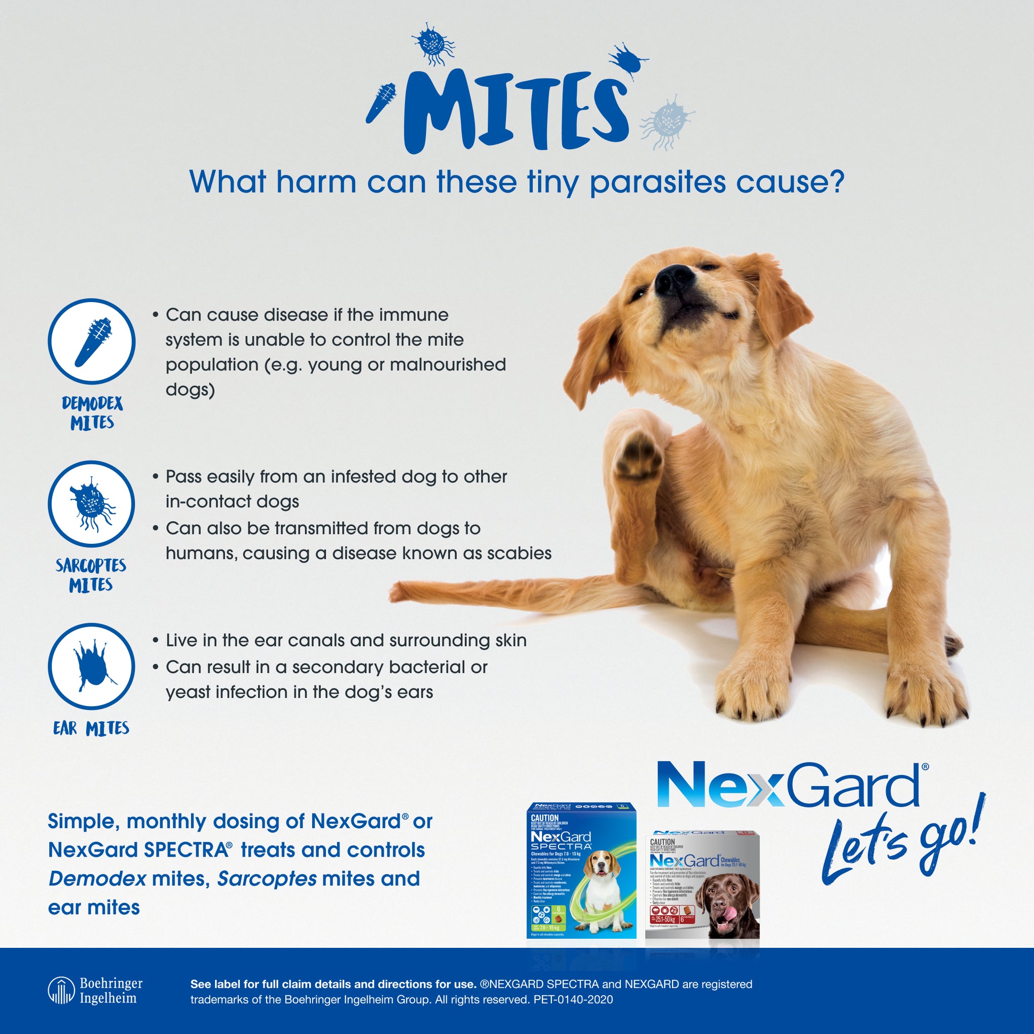 NexGard SPECTRA Medium Dog Chews 7.6-15kg