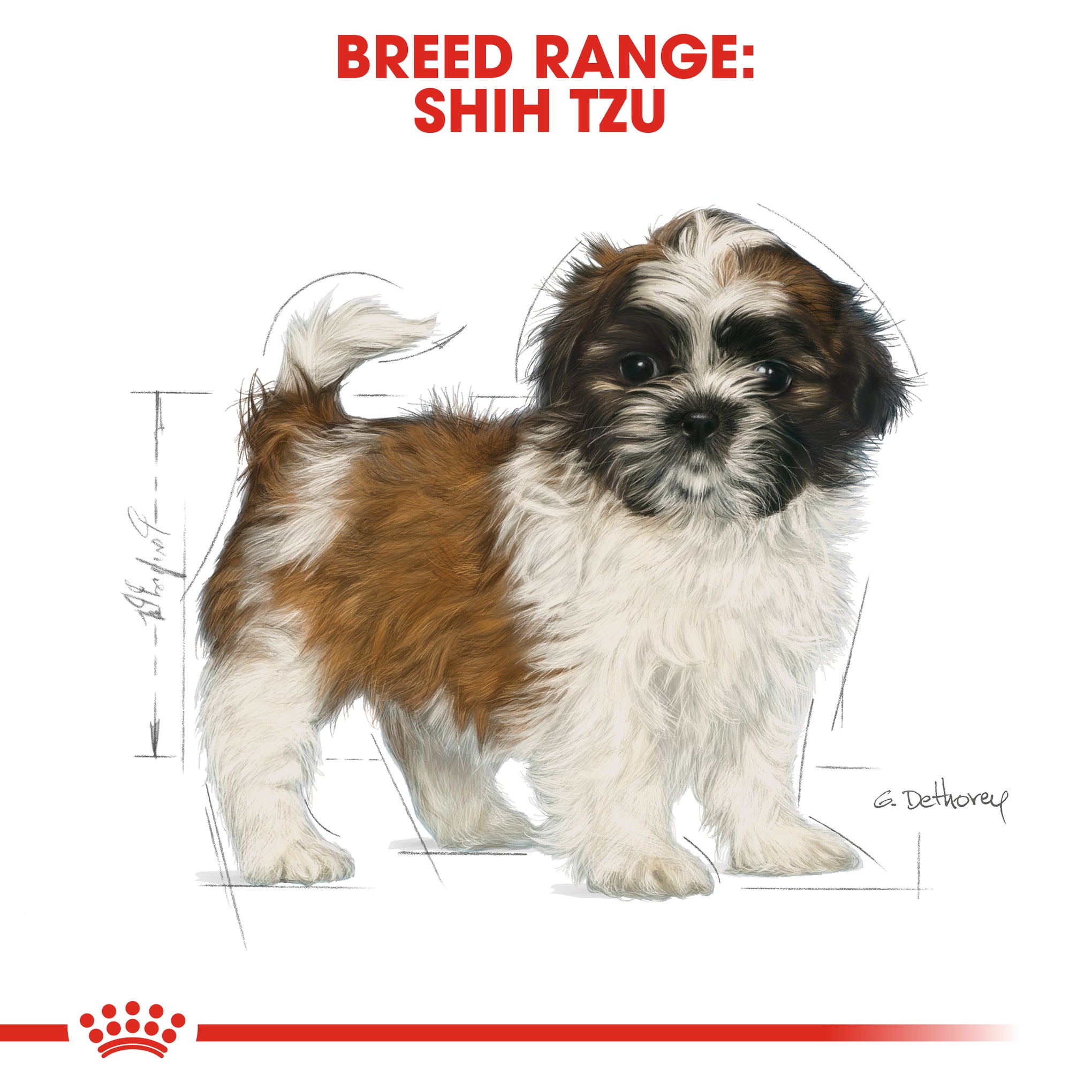 Royal Canin Dog Shih Tzu Puppy Dry Food 1.5kg