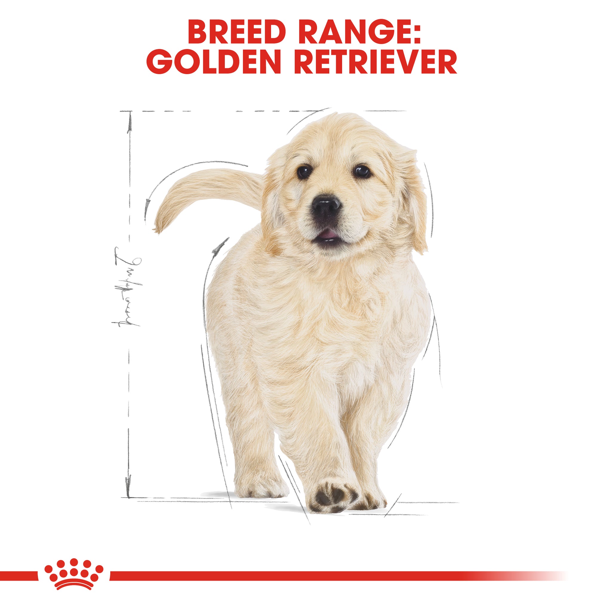 Royal Canin Golden Retriever Puppy Dry Dog Food 12kg