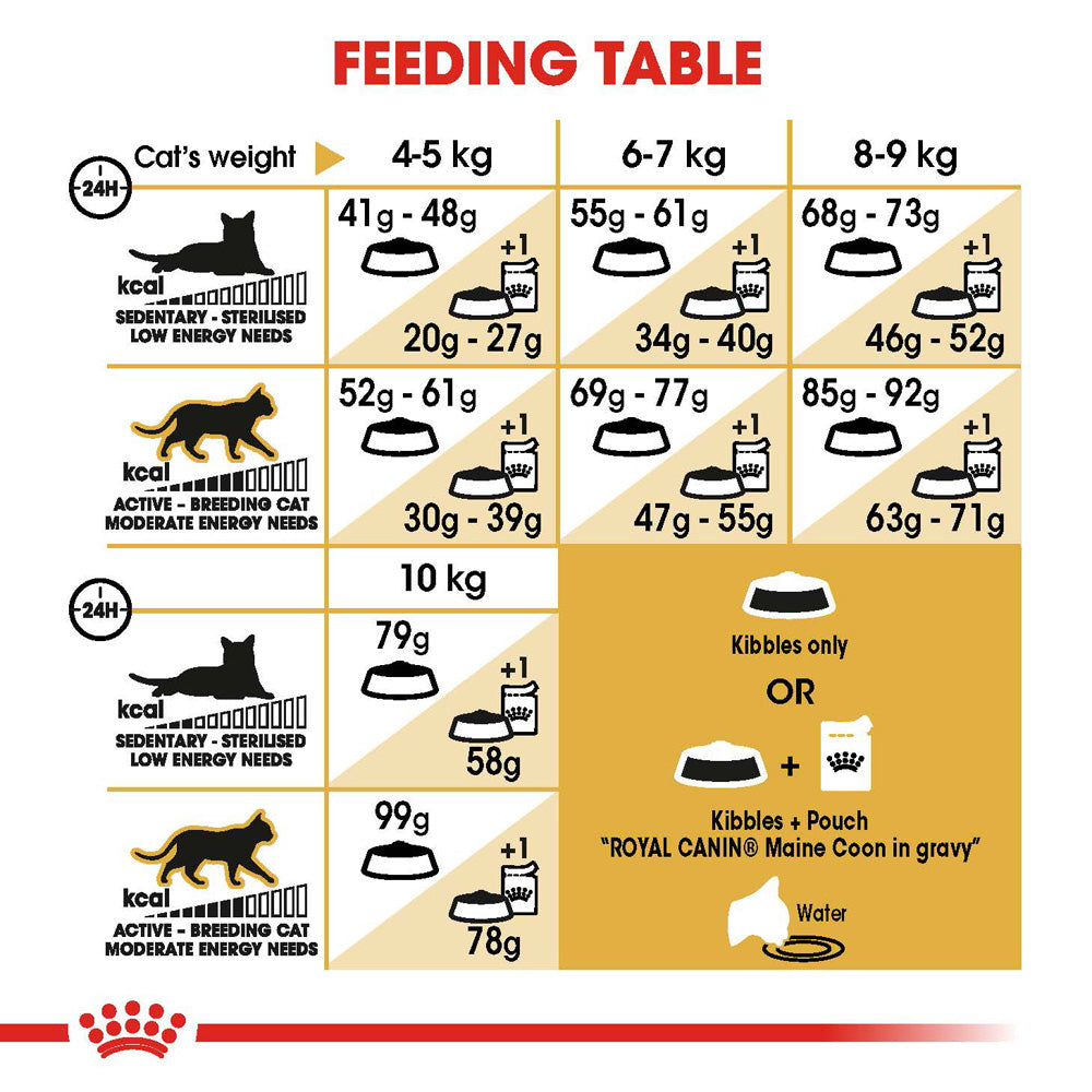 Royal Canin Maine Coon Adult Dry Cat Food 10kg