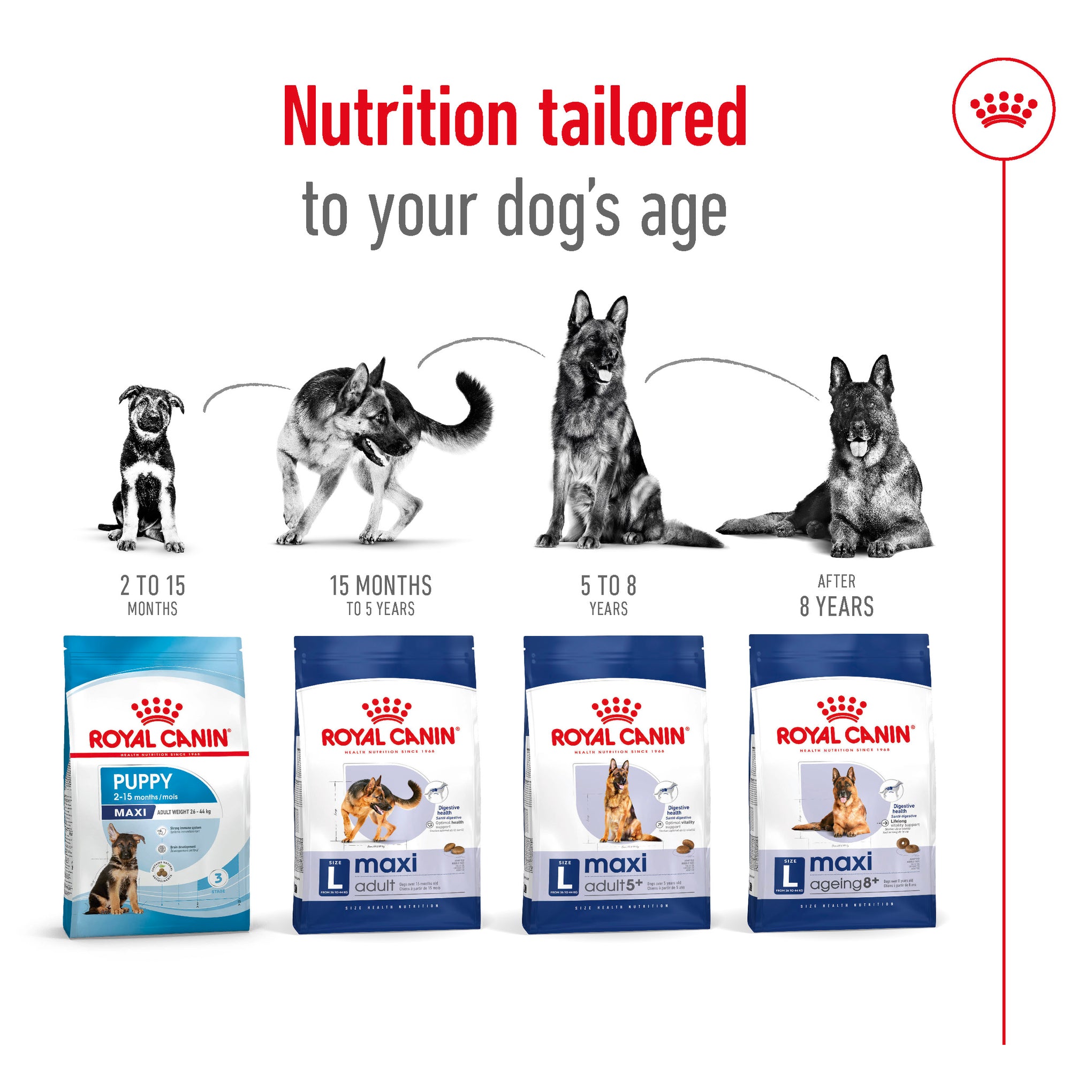 Royal Canin Maxi Adult 5+ Dry Dog Food 15kg
