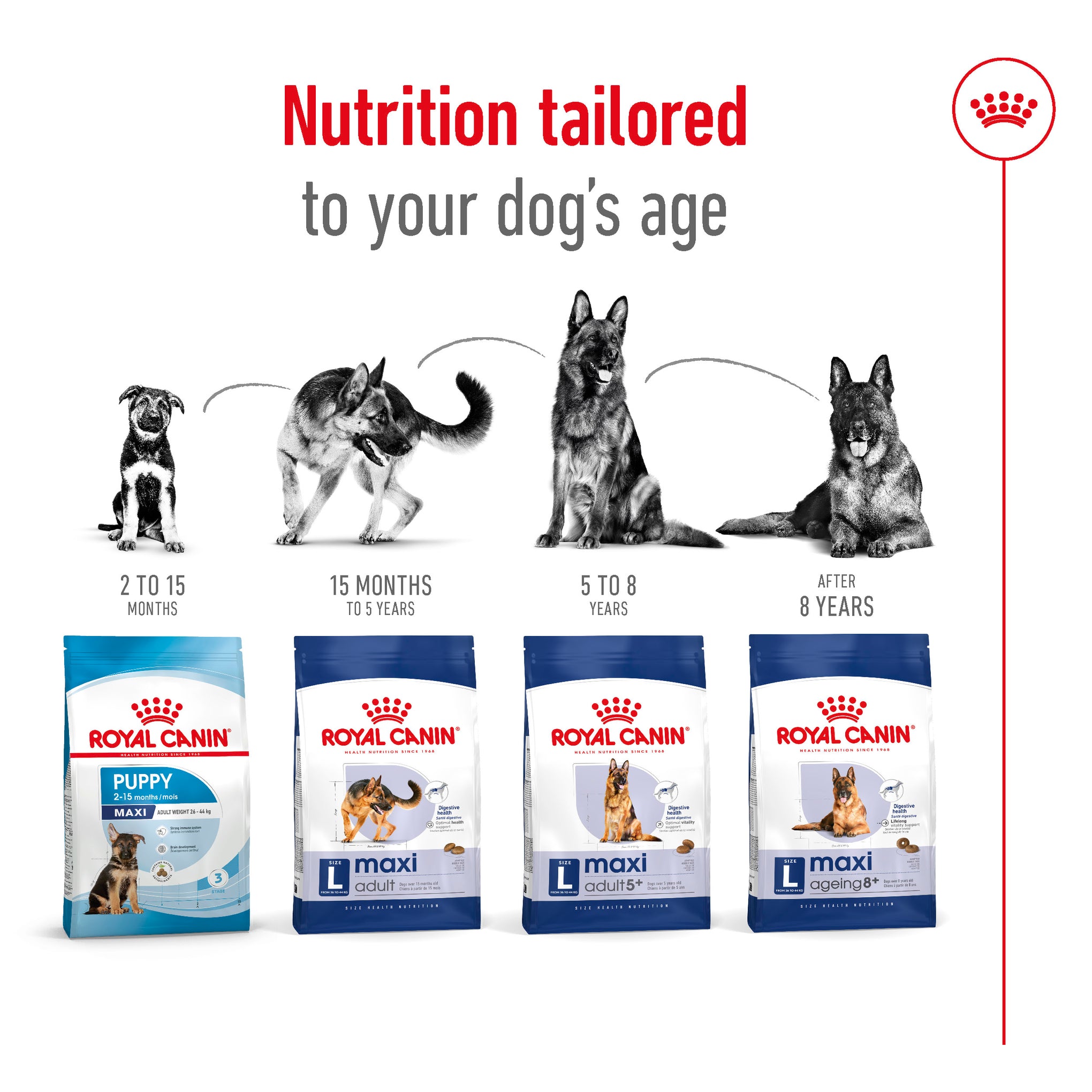 Royal Canin Maxi Adult Dry Dog Food