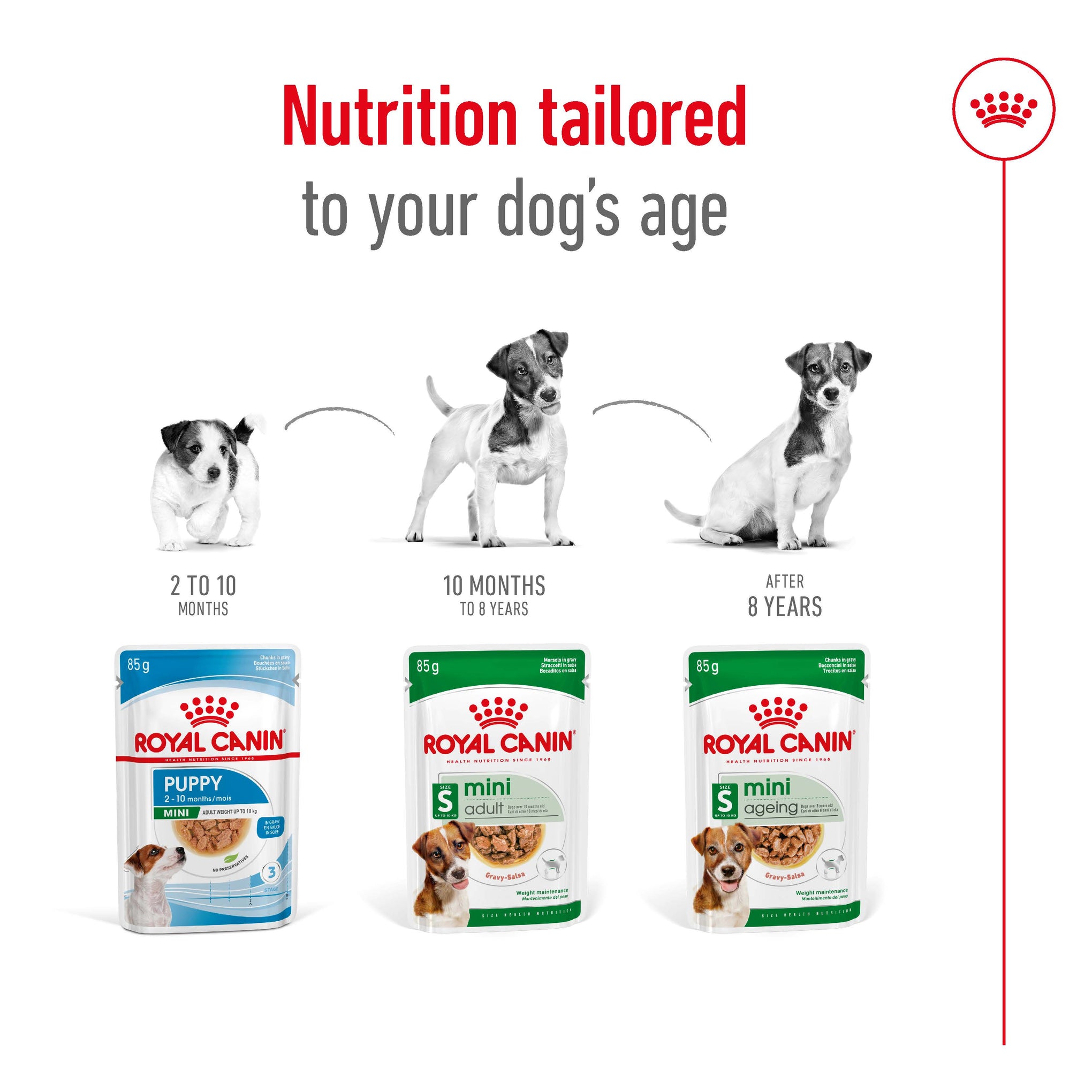 Royal Canin Mini Ageing 12+ Wet Dog Food Pouches 85g x 12