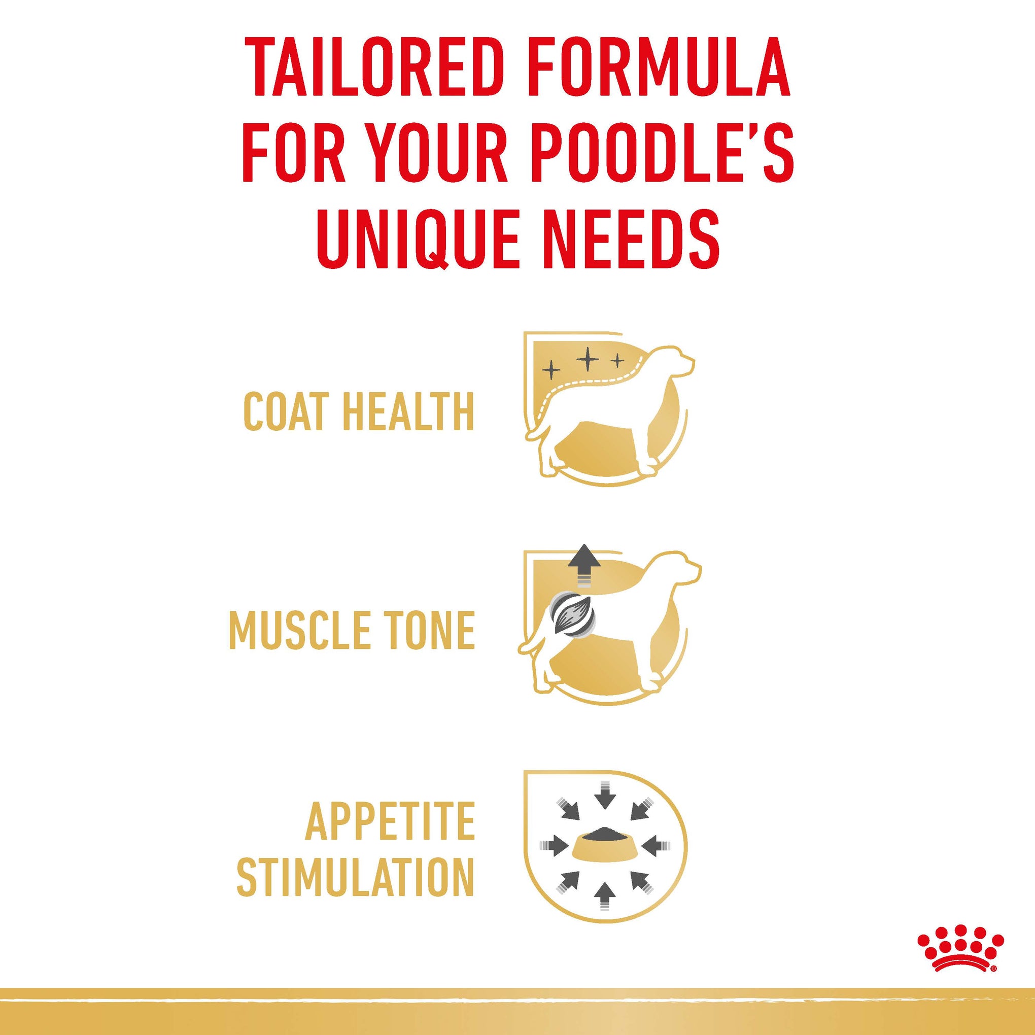 Royal Canin Poodle Adult Wet Dog Food Pouches 85g x 12