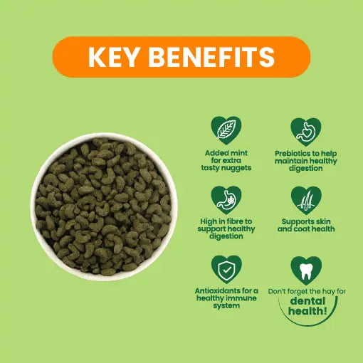 Burgess Excel Adult Mint Guinea Pig Nuggets