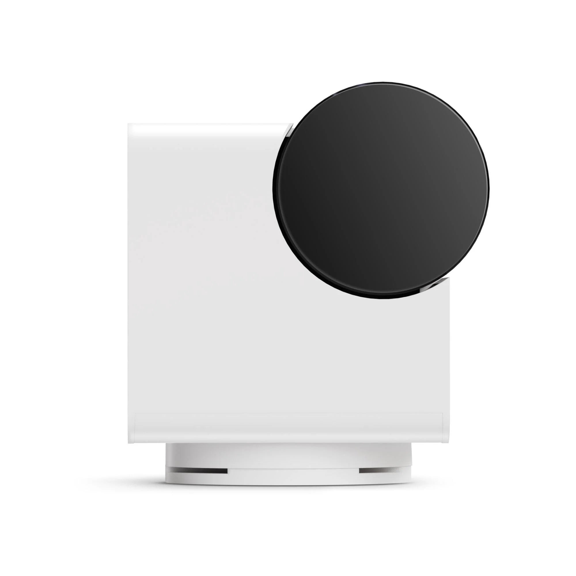 PetCube Pet Cam 360