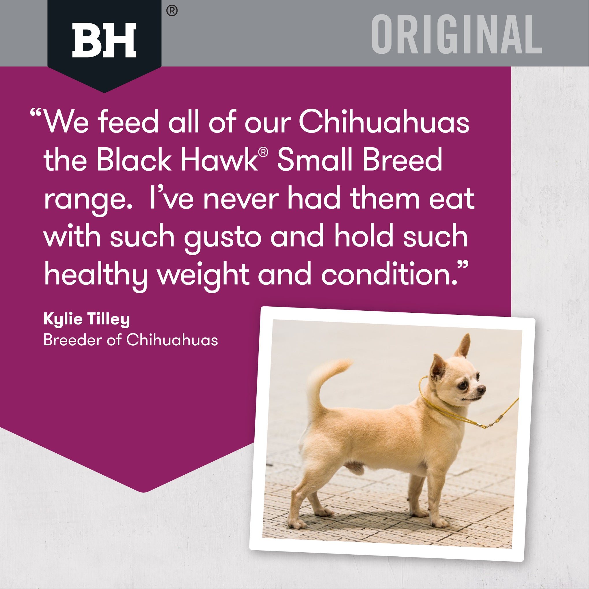 Black Hawk Original Adult Small Breed Lamb and Rice Dry Dog Food