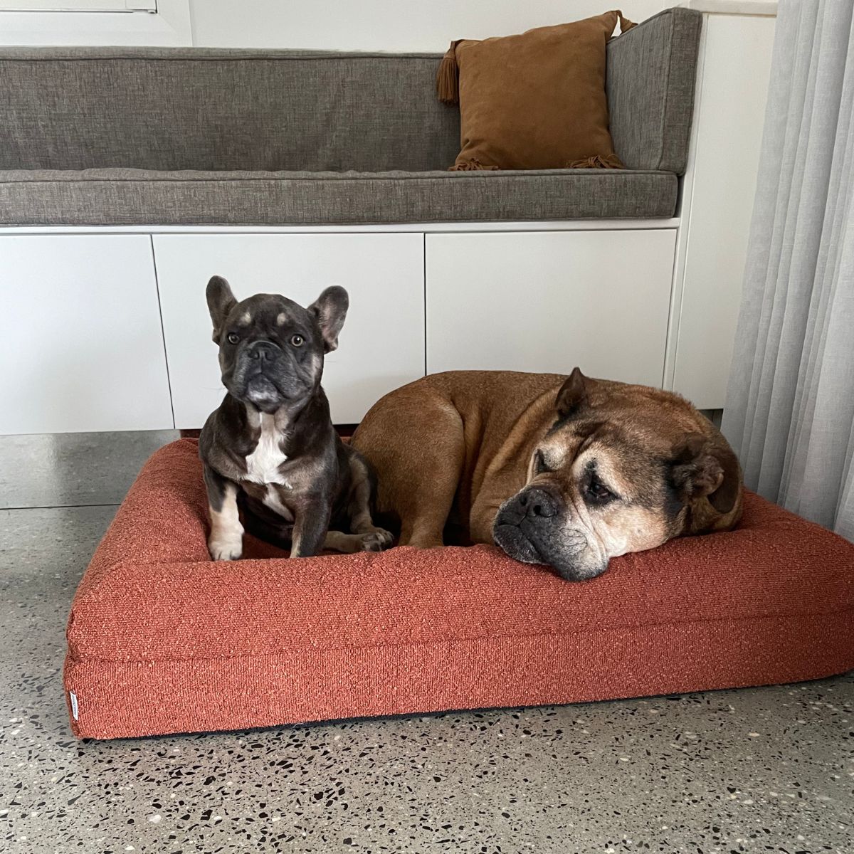 Dazy Dog Bed Cover Boucle Terracotta