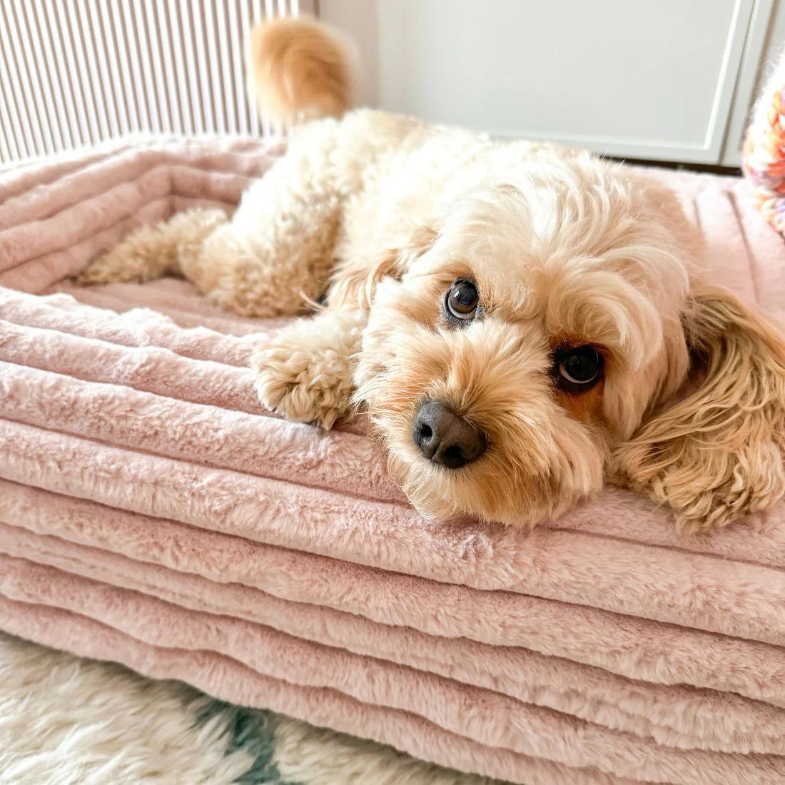 Dazy Dog Bed Cover Puffer Rosewater