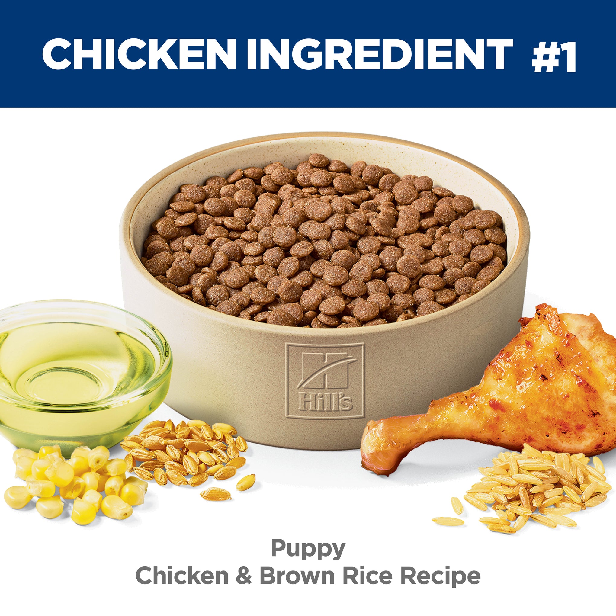 Hill's Science Diet Puppy Dry Dog Food