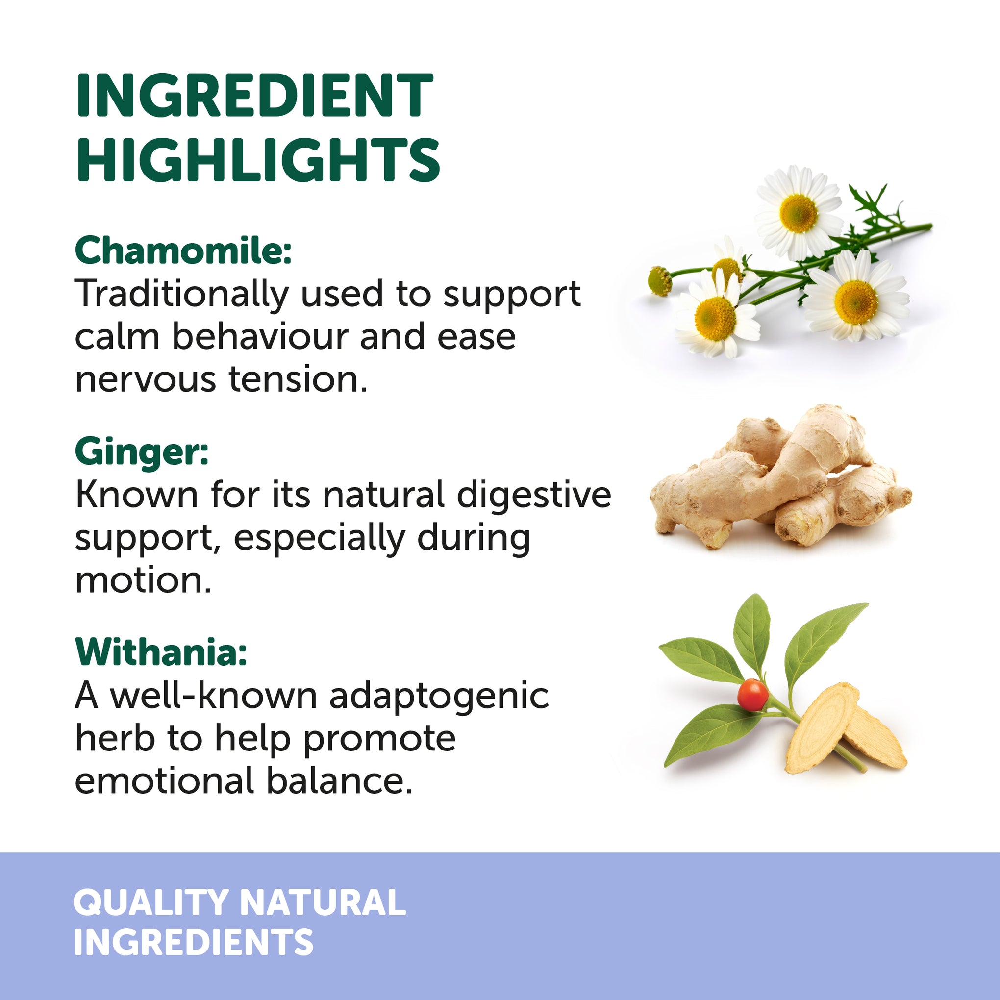 Natural Animal Solutions Traveleze