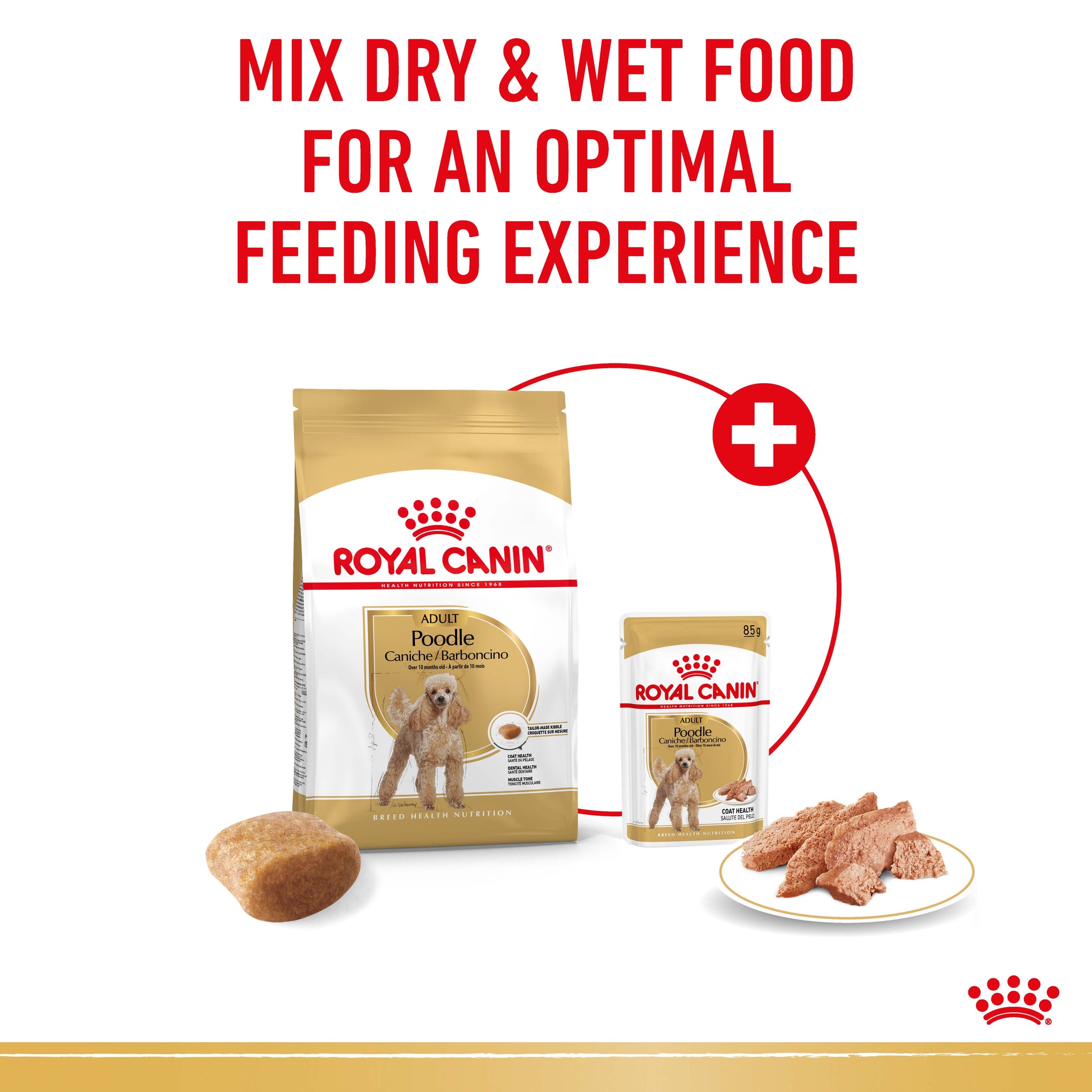 Royal Canin Poodle Adult Wet Dog Food Pouches 85g x 12
