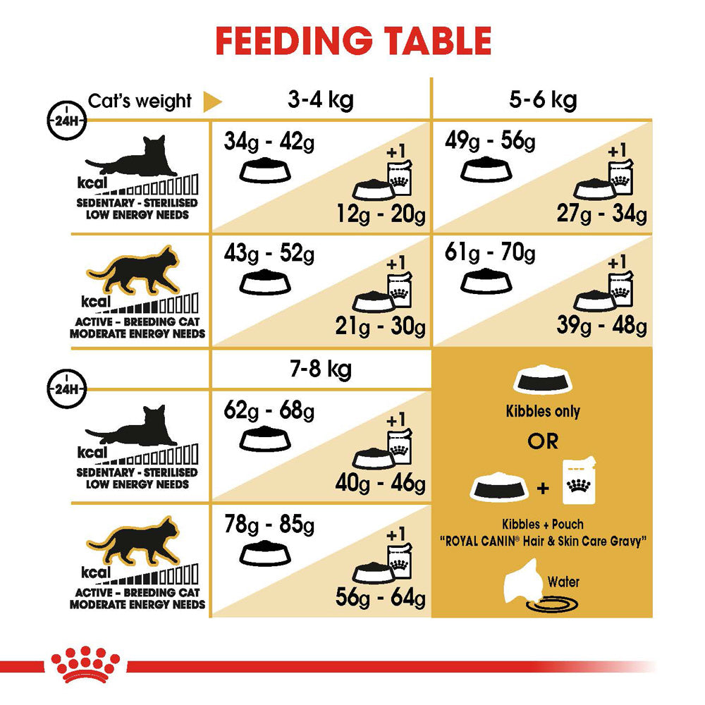 Royal Canin Ragdoll Adult Dry Cat Food
