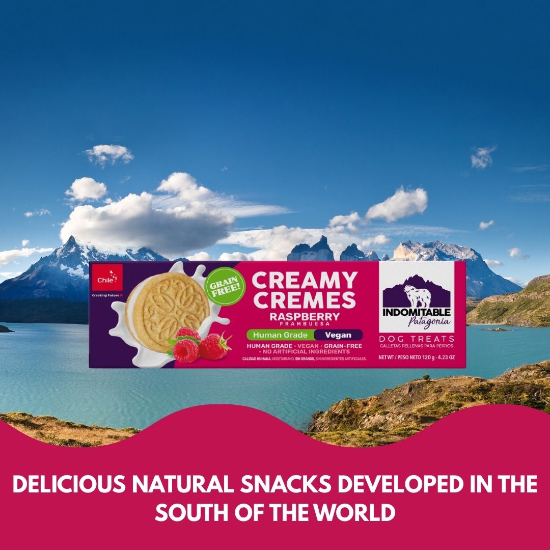 Indomitable Patagonia Creamy Cremes Raspberry Grain Free Dog Treats 120g