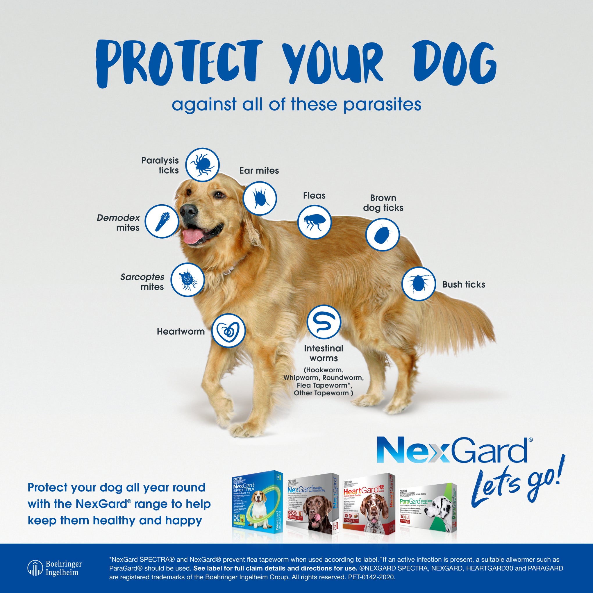 NexGard SPECTRA Medium Dog Chews 7.6-15kg