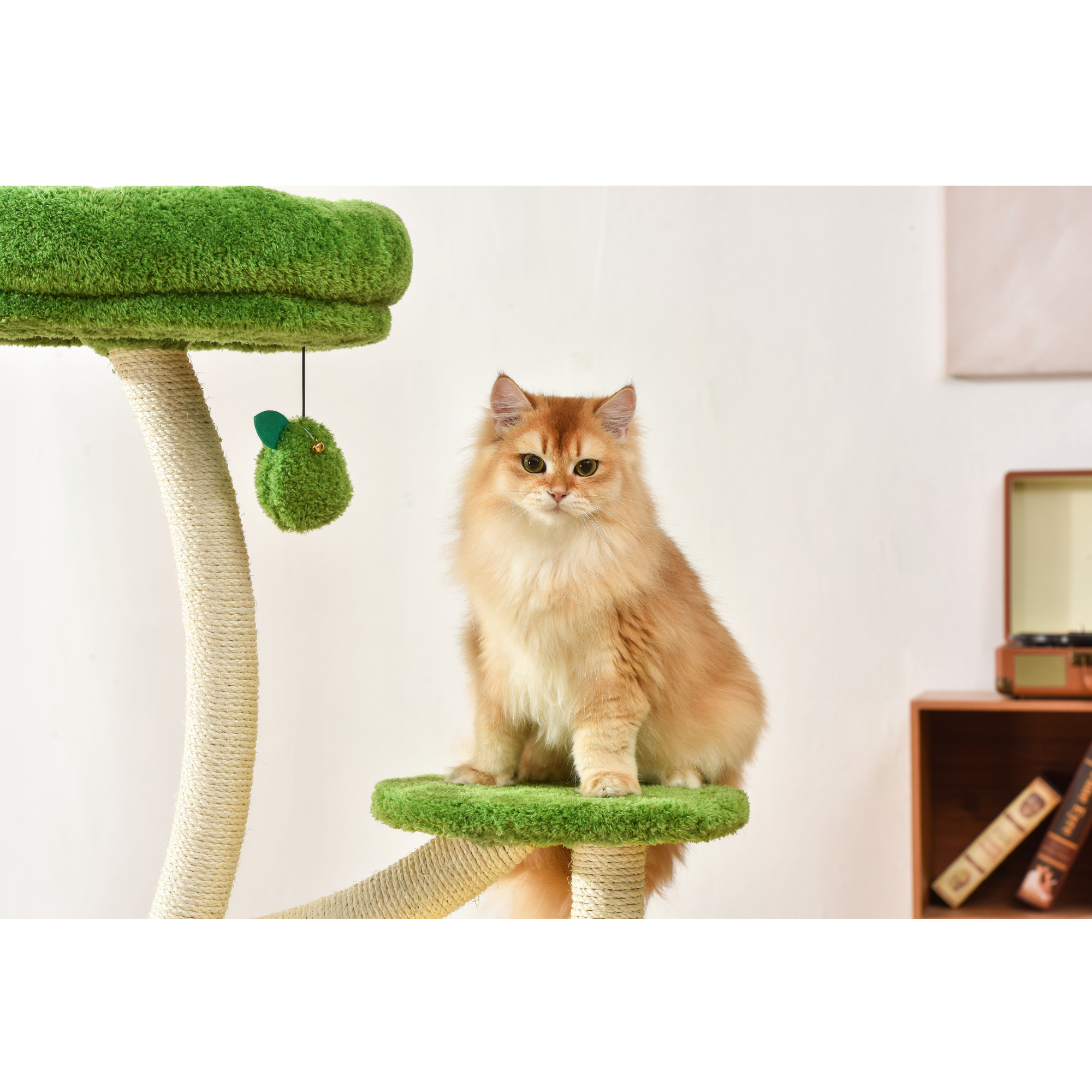 Michu Verde Solid Wooded Base Cat Tree