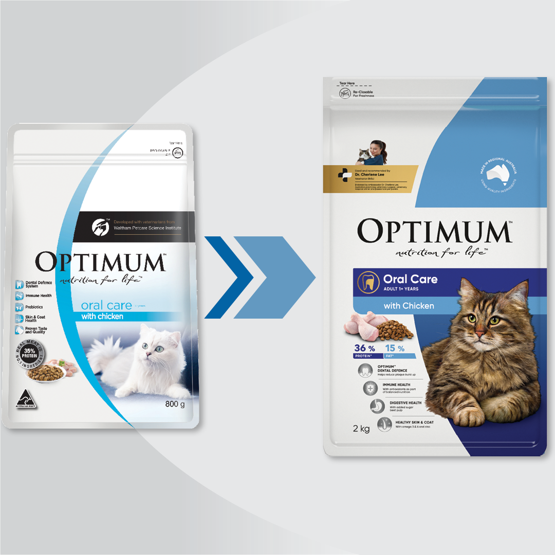 Optimum Cat Adult Dry Food Chicken Oral Care 2kg