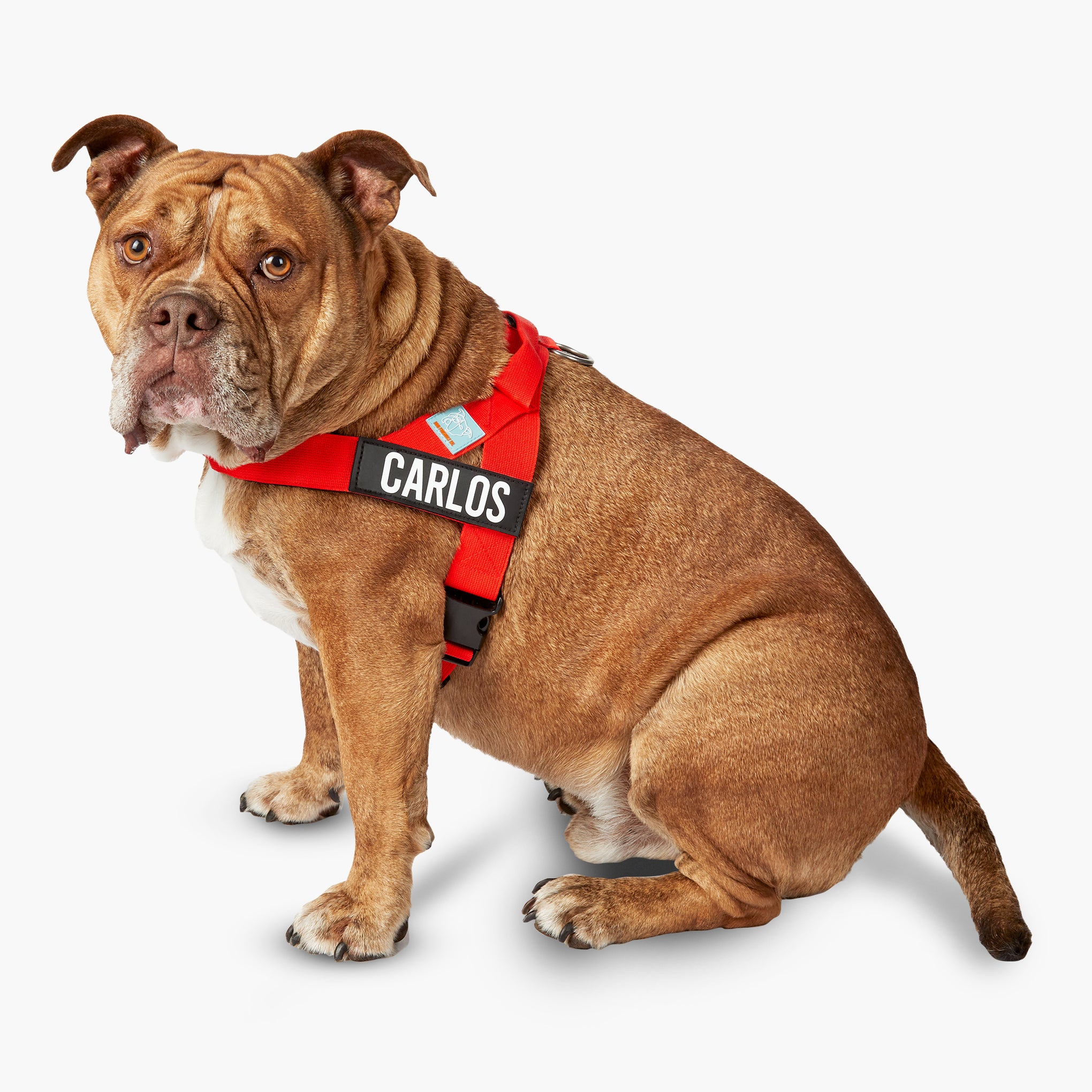 Dog Friendly Co. Dog Harness Red