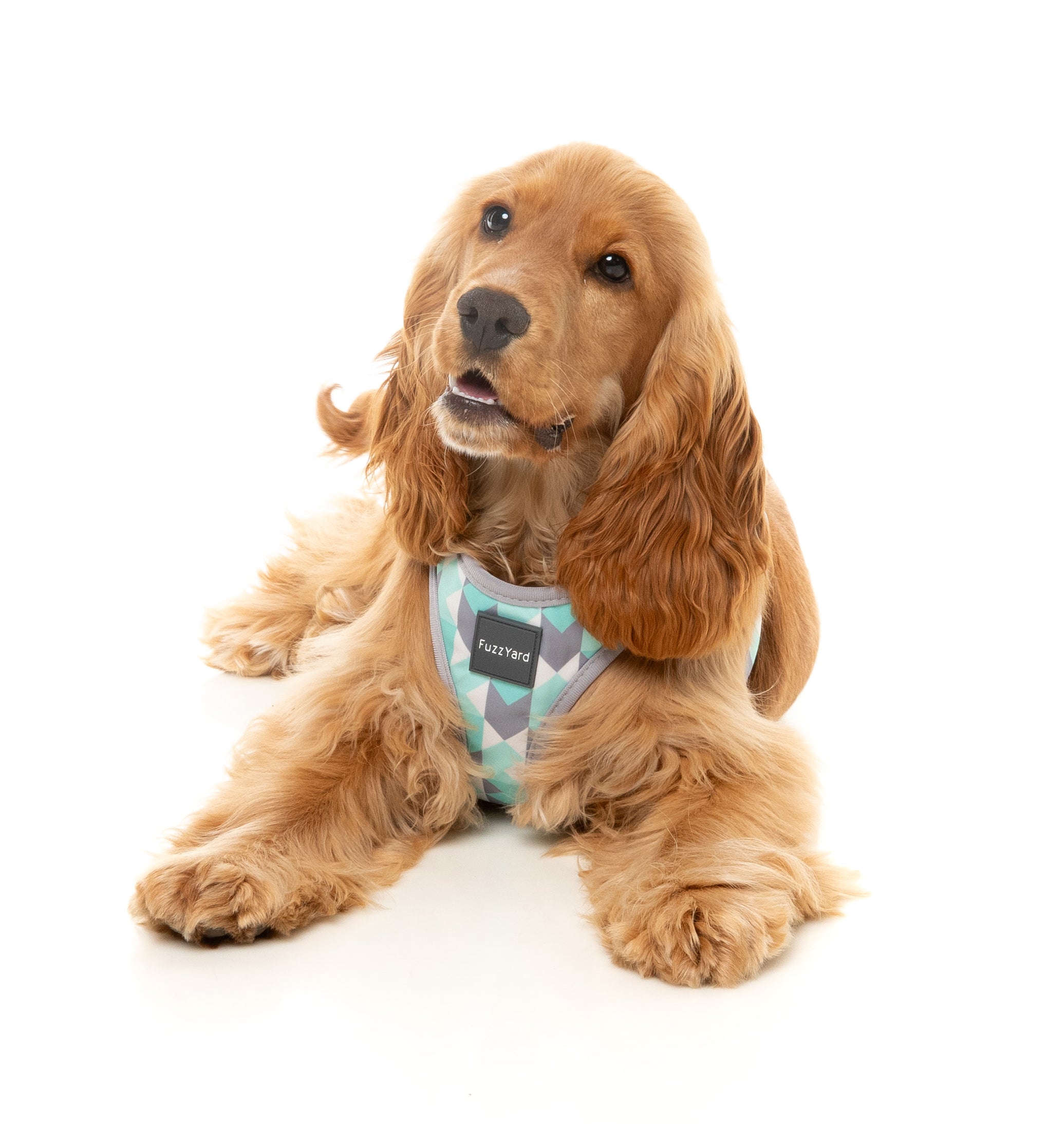 FuzzYard Mint Fizz Dog Step In Harness