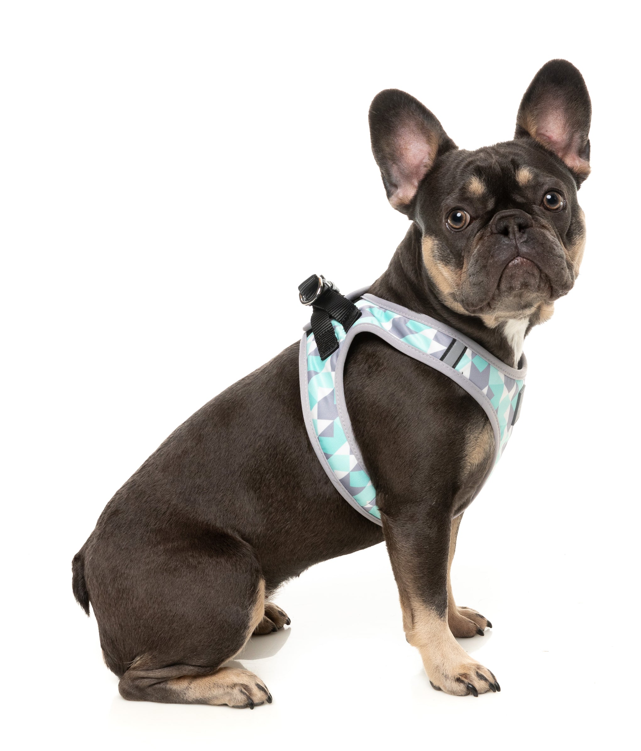 FuzzYard Mint Fizz Dog Step In Harness