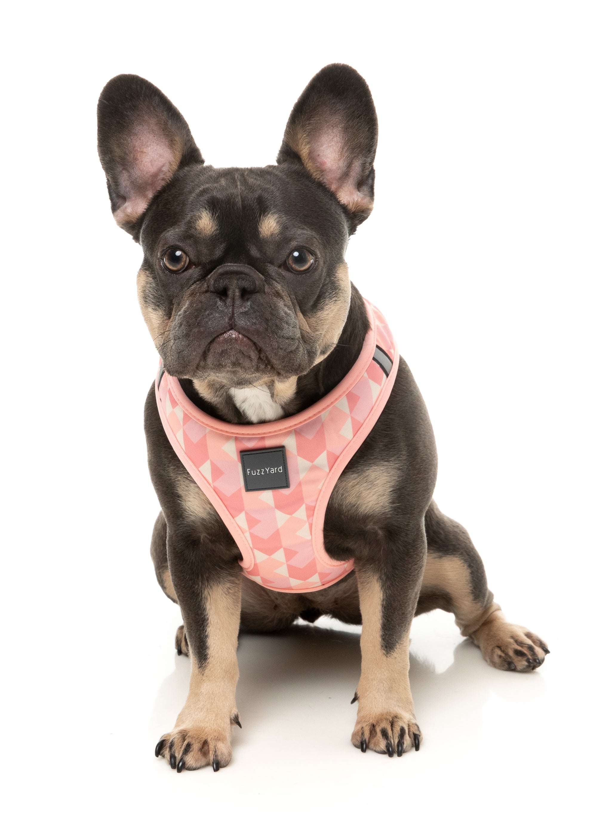 FuzzYard Pink Lemonade Dog Step In Harness