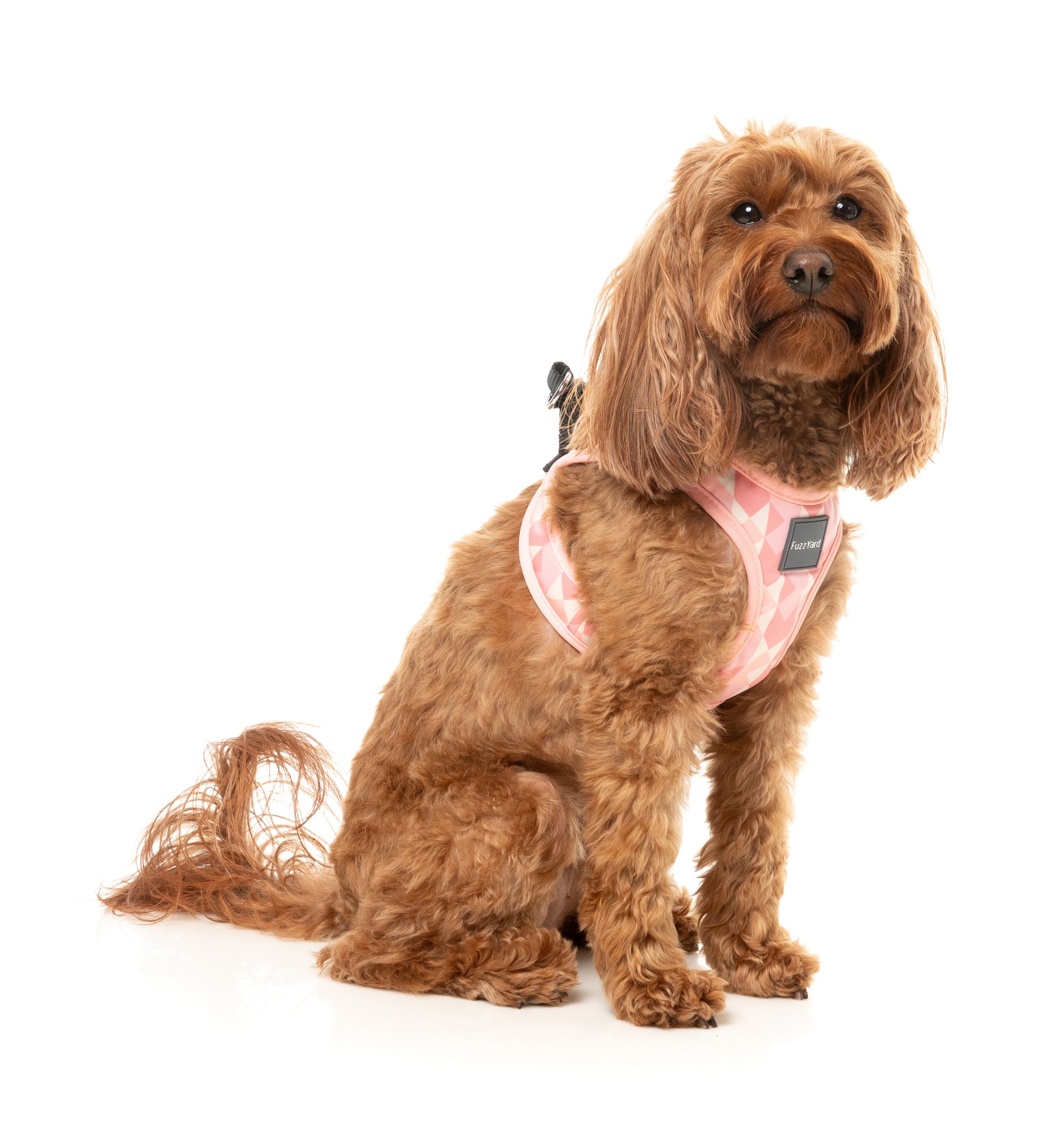 FuzzYard Pink Lemonade Dog Step In Harness