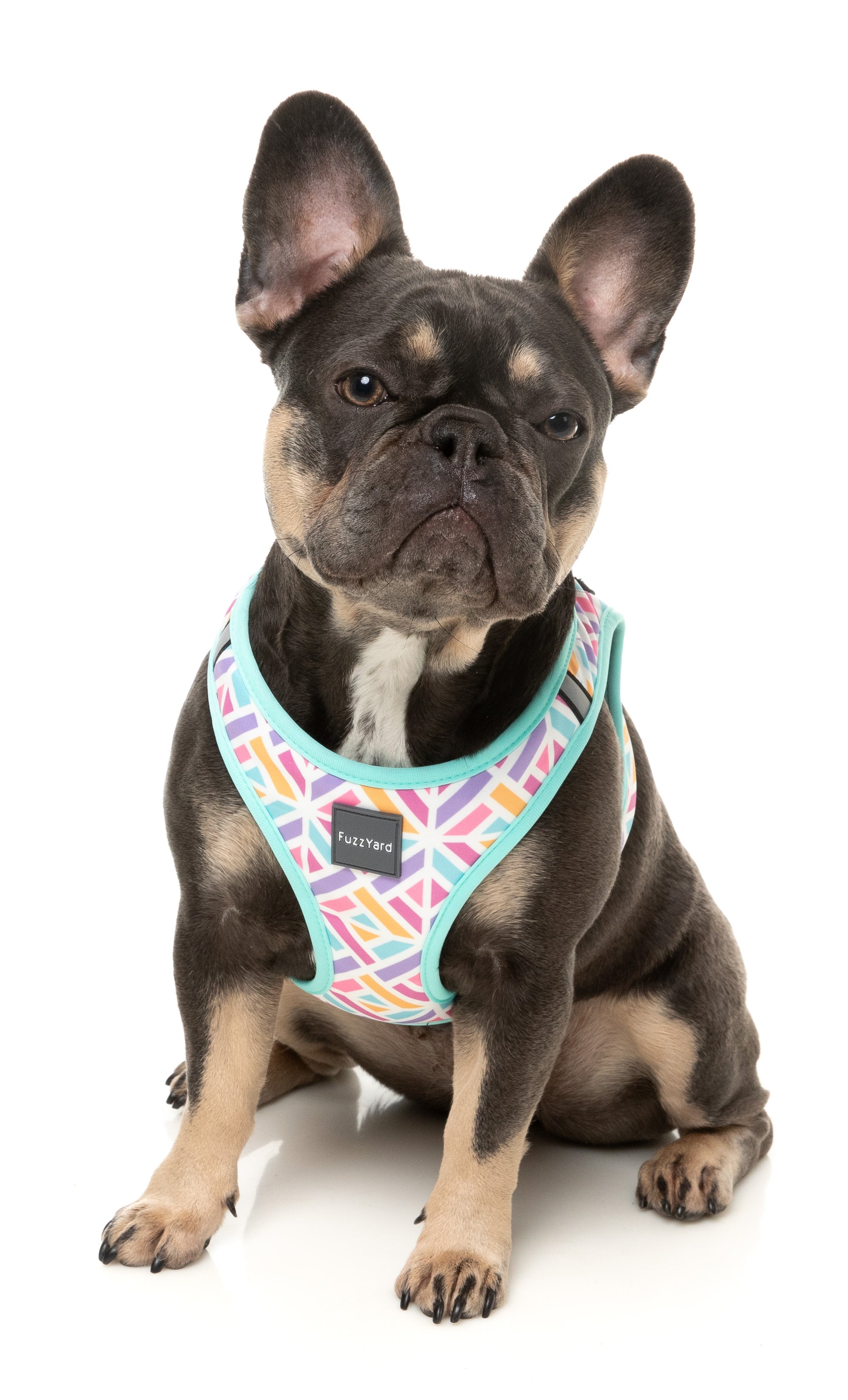 FuzzYard Bubblegum Burst Dog Step In Harness