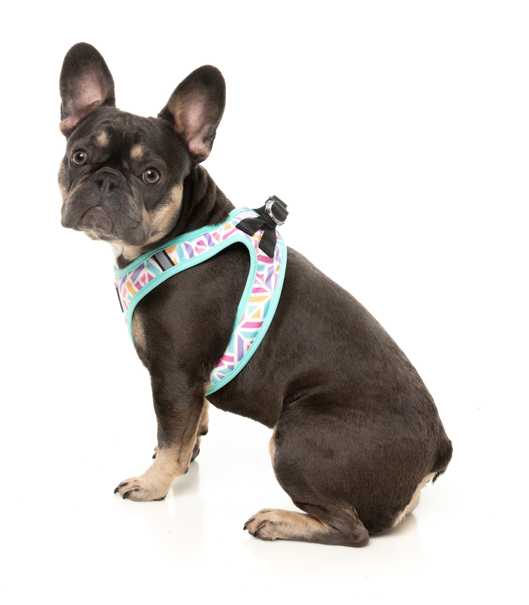 FuzzYard Bubblegum Burst Dog Step In Harness