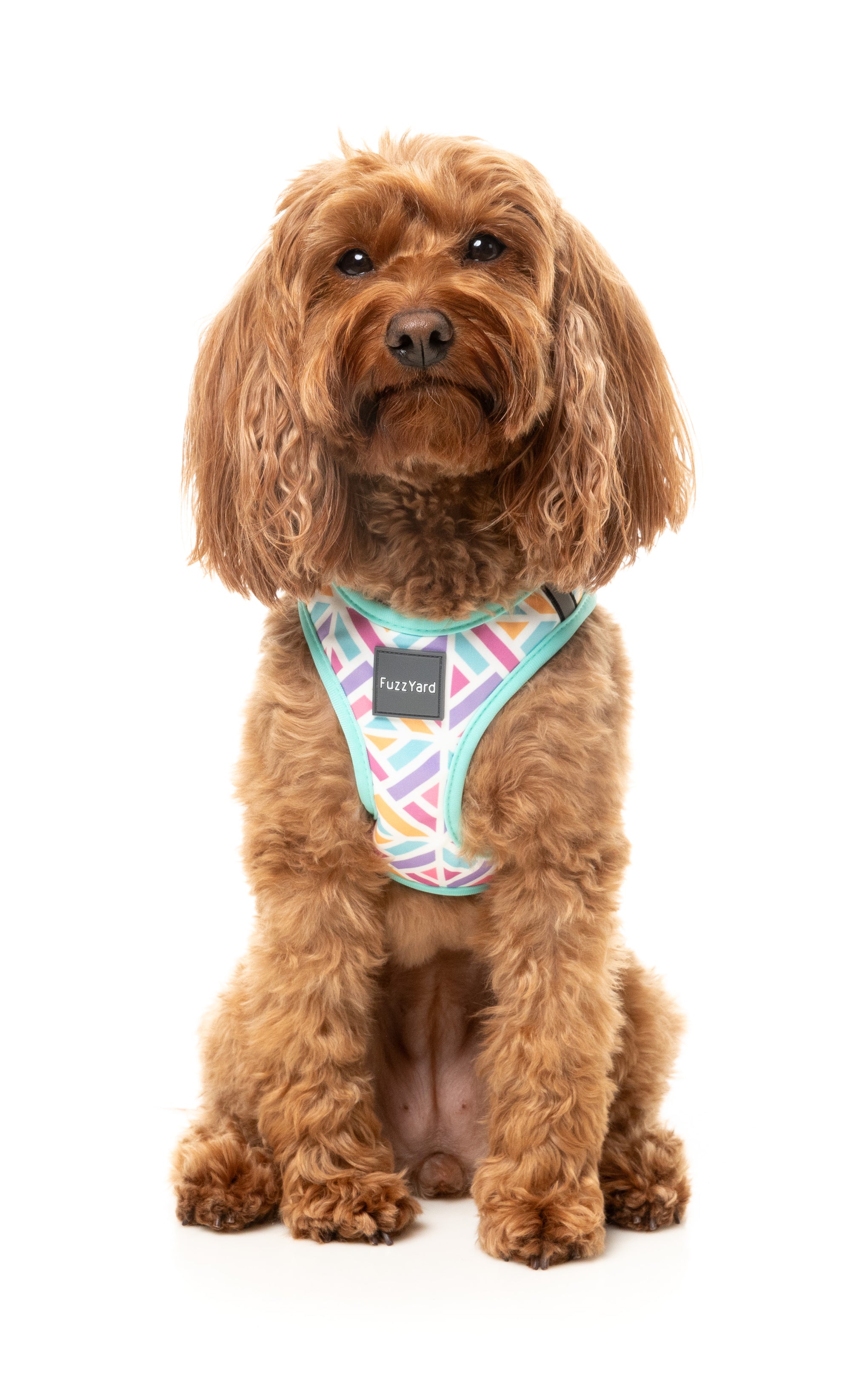 FuzzYard Bubblegum Burst Dog Step In Harness