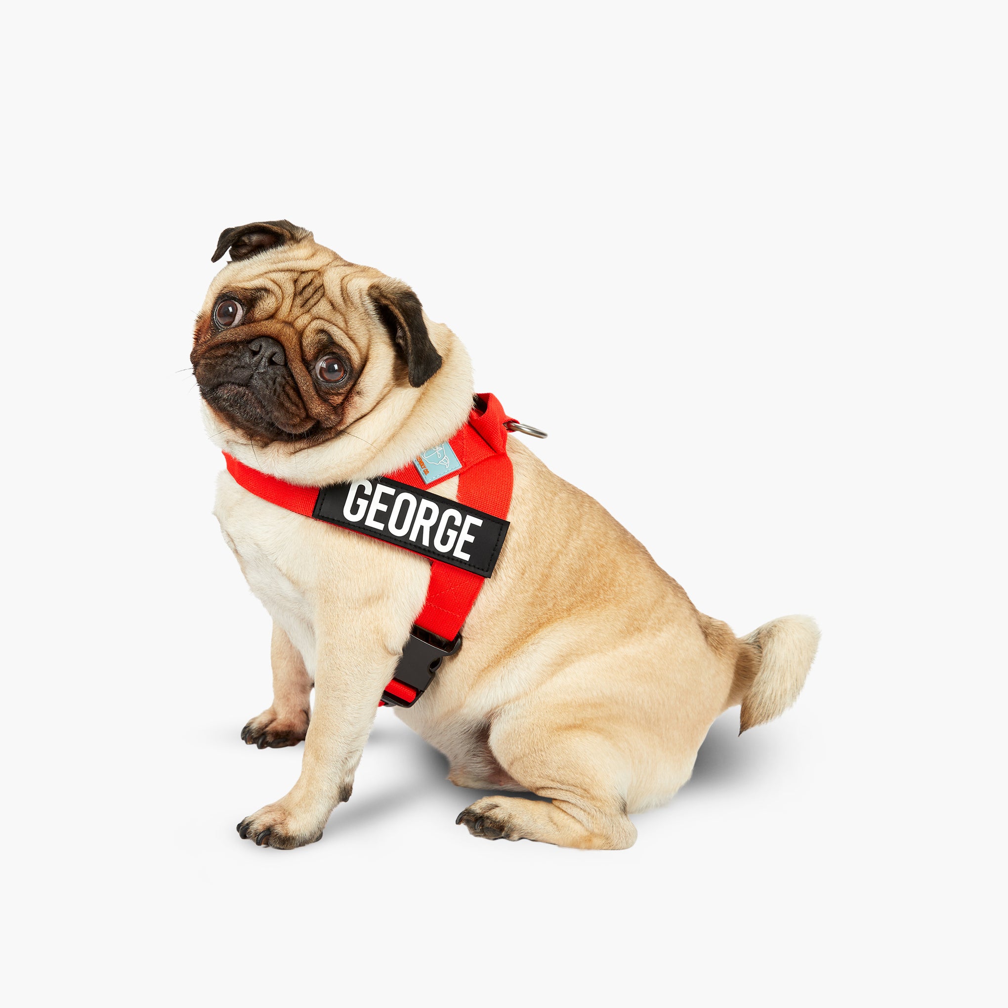 Dog Friendly Co. Dog Harness Red