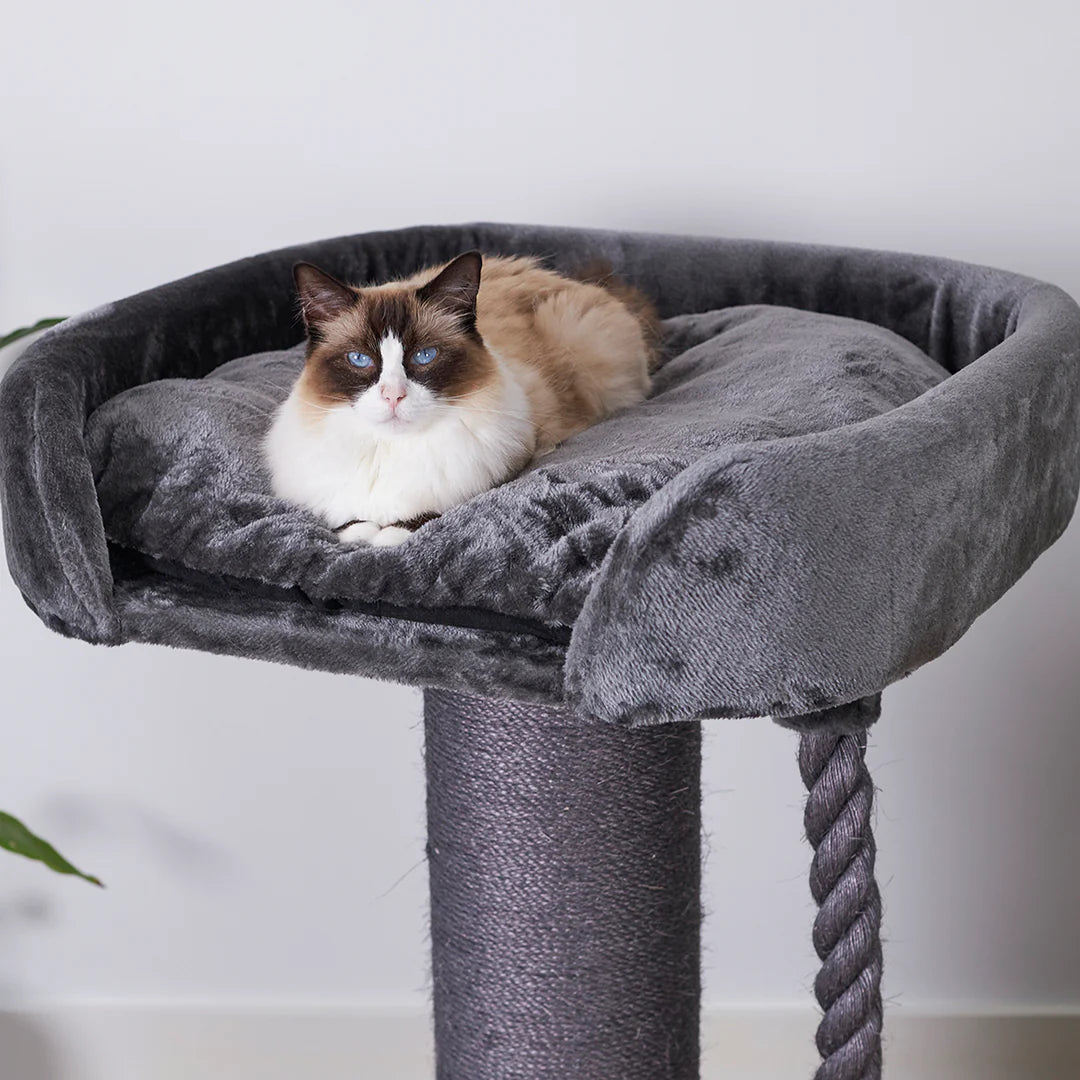 Kazoo High Bed Cat Scratch Charcoal