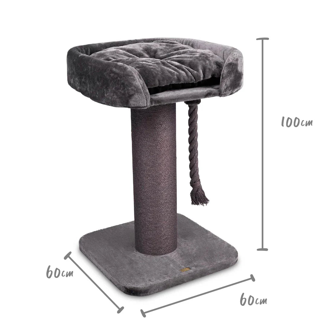 Kazoo High Bed Cat Scratch Charcoal