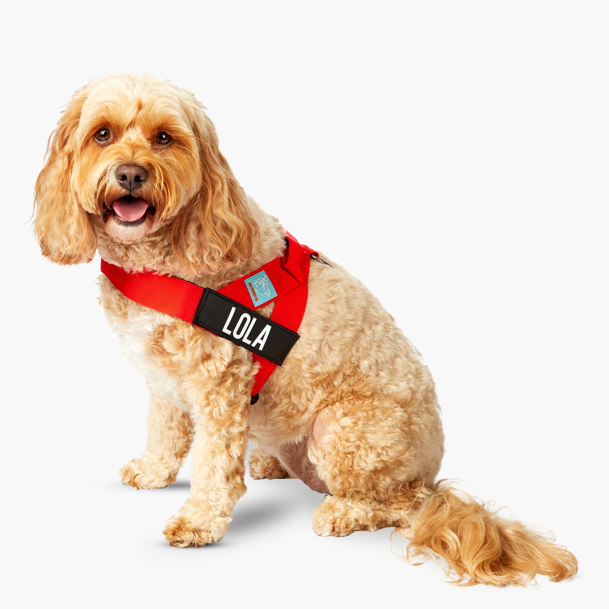 Dog Friendly Co. Dog Harness Red