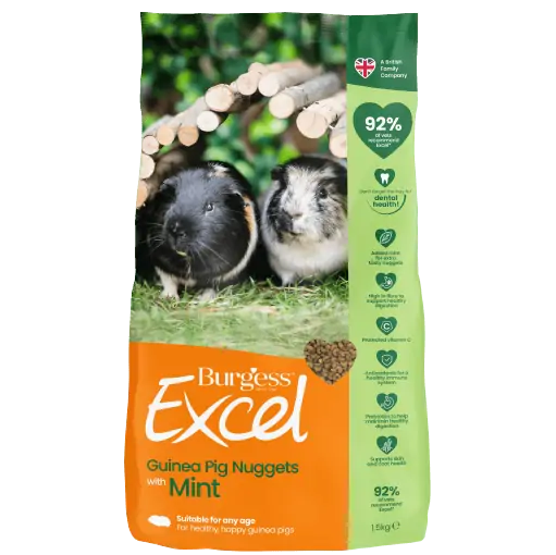 Burgess Excel Adult Mint Guinea Pig Nuggets