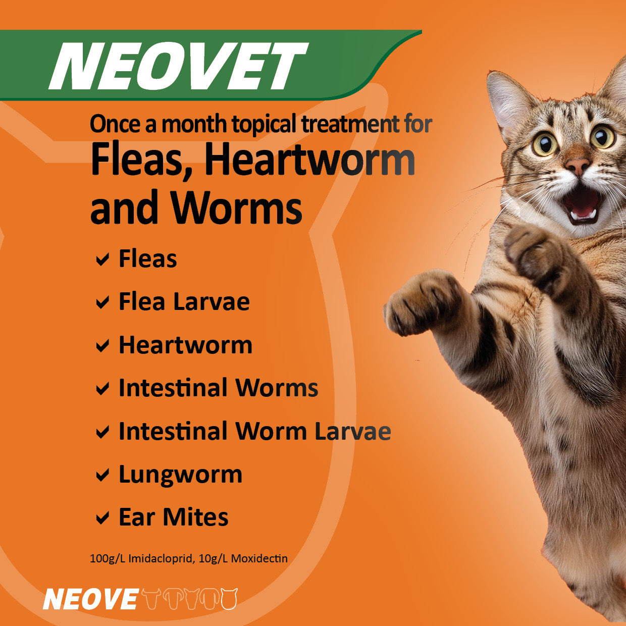 Neovet for Cats Over 4kg