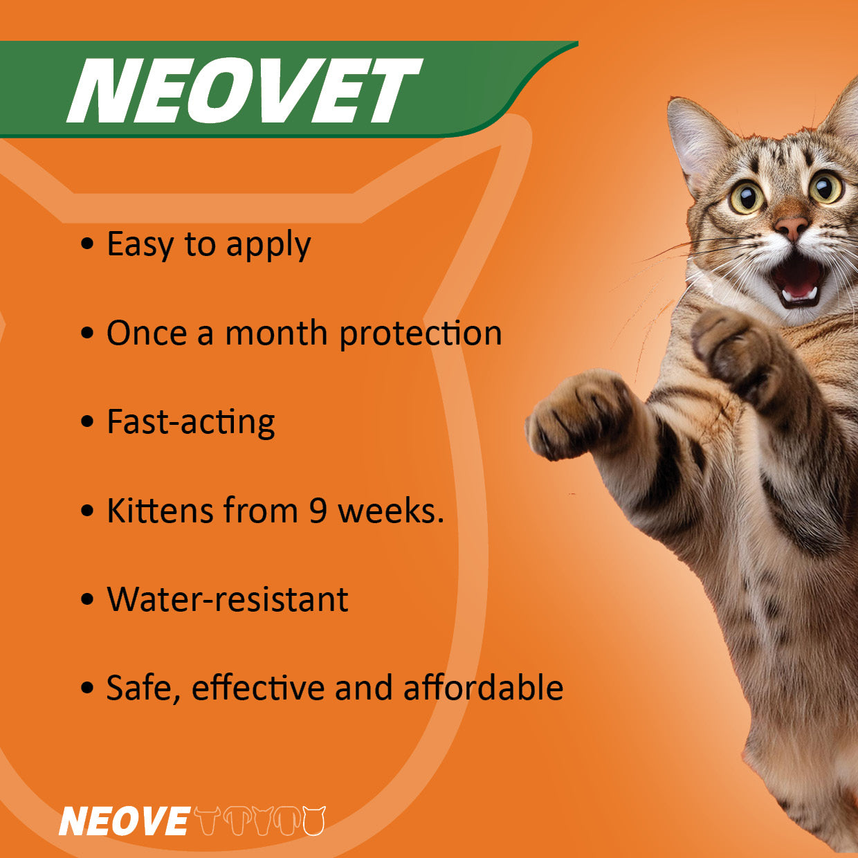 Neovet for Kittens and Small Cats Up To 4kg