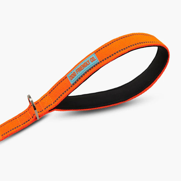 Dog Friendly Co. Classic Dog Lead Hi-Vis Orange