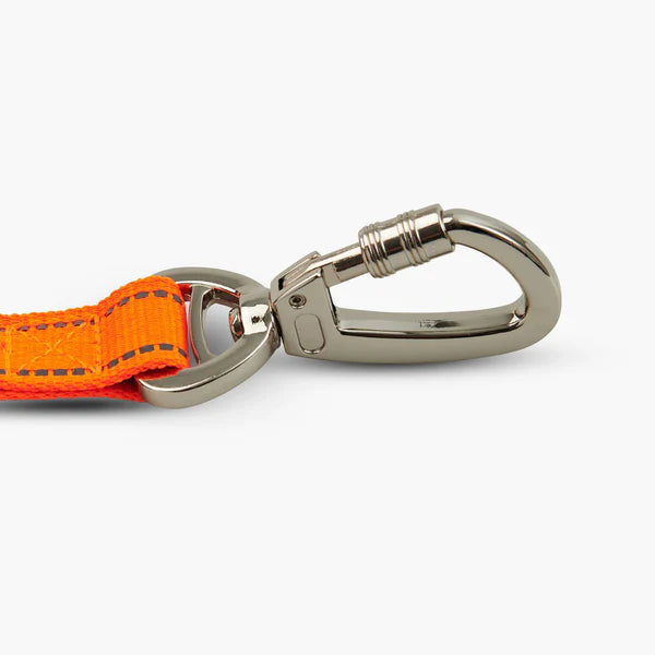 Dog Friendly Co. Classic Dog Lead Hi-Vis Orange