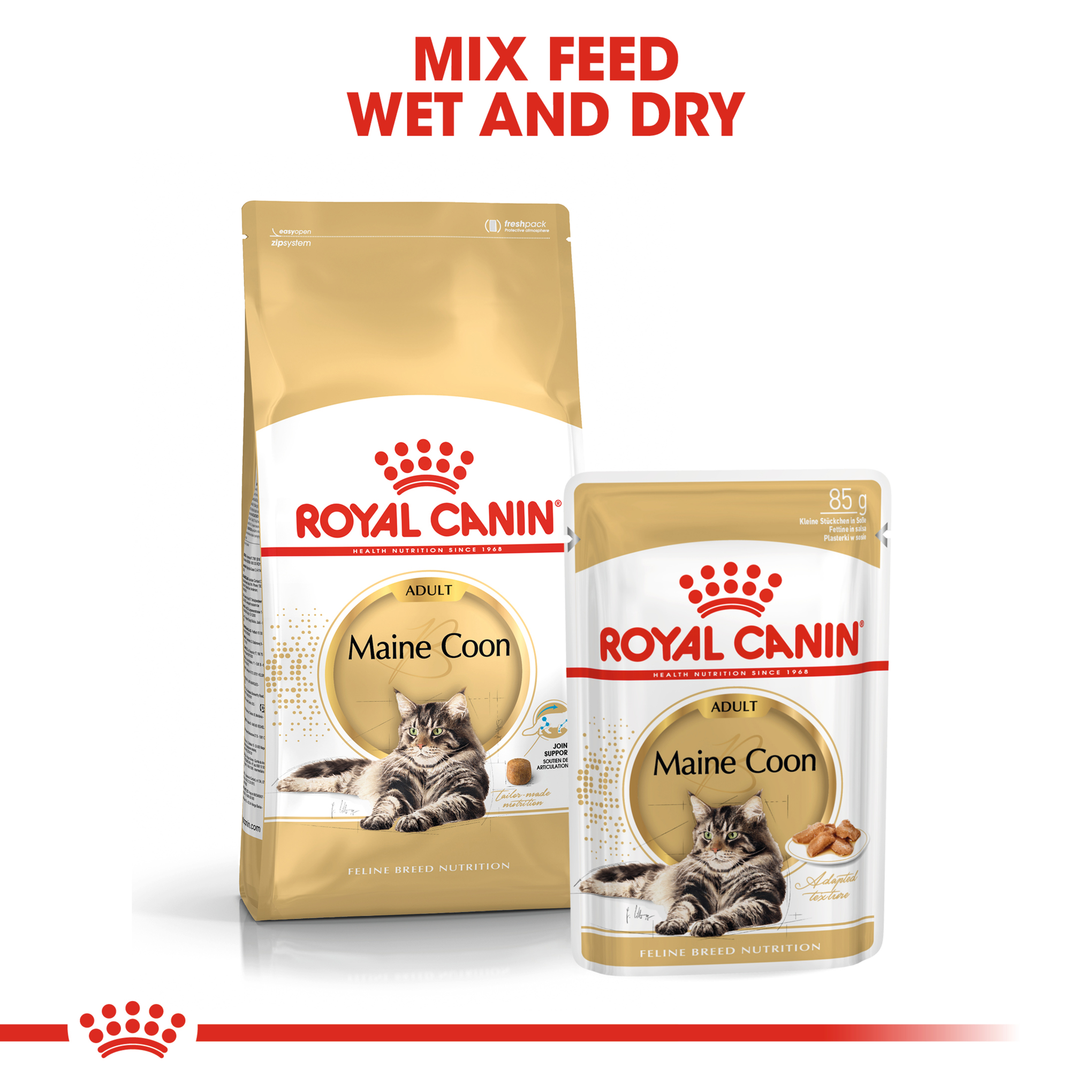 Royal Canin Maine Coon Adult Dry Cat Food 10kg