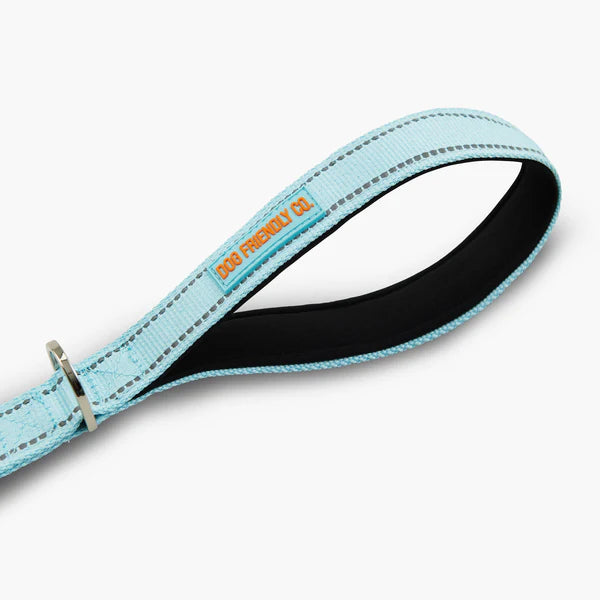 Dog Friendly Co. Classic Dog Lead Sky Blue