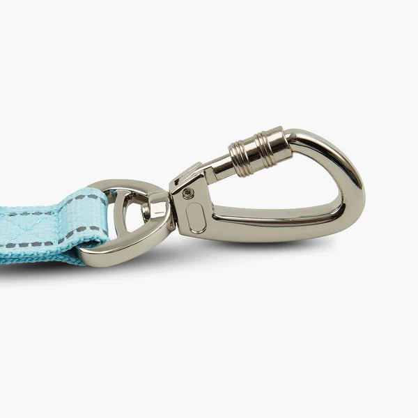 Dog Friendly Co. Classic Dog Lead Sky Blue
